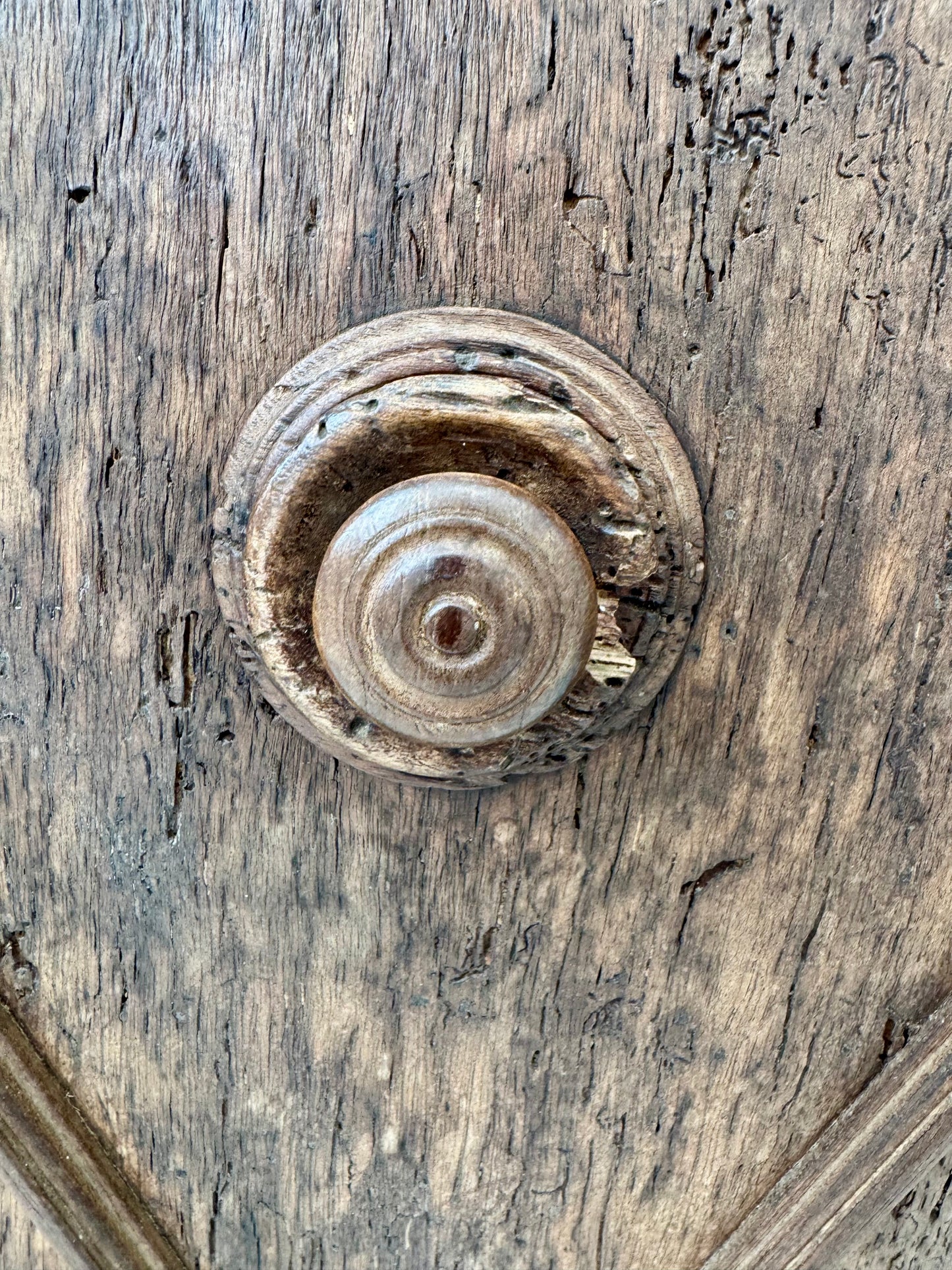 Antique Elm Burr Wood Cupboard