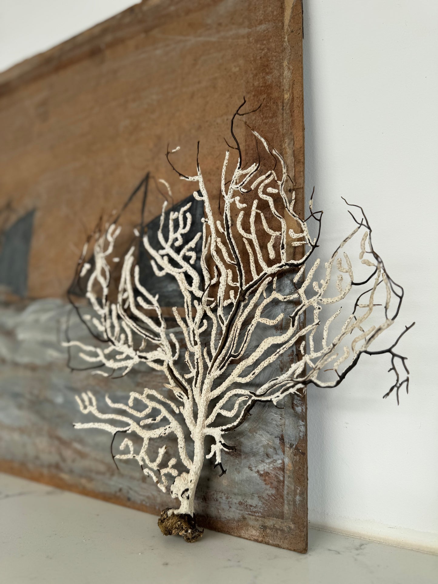 Antique Sea Fan Coral Specimen
