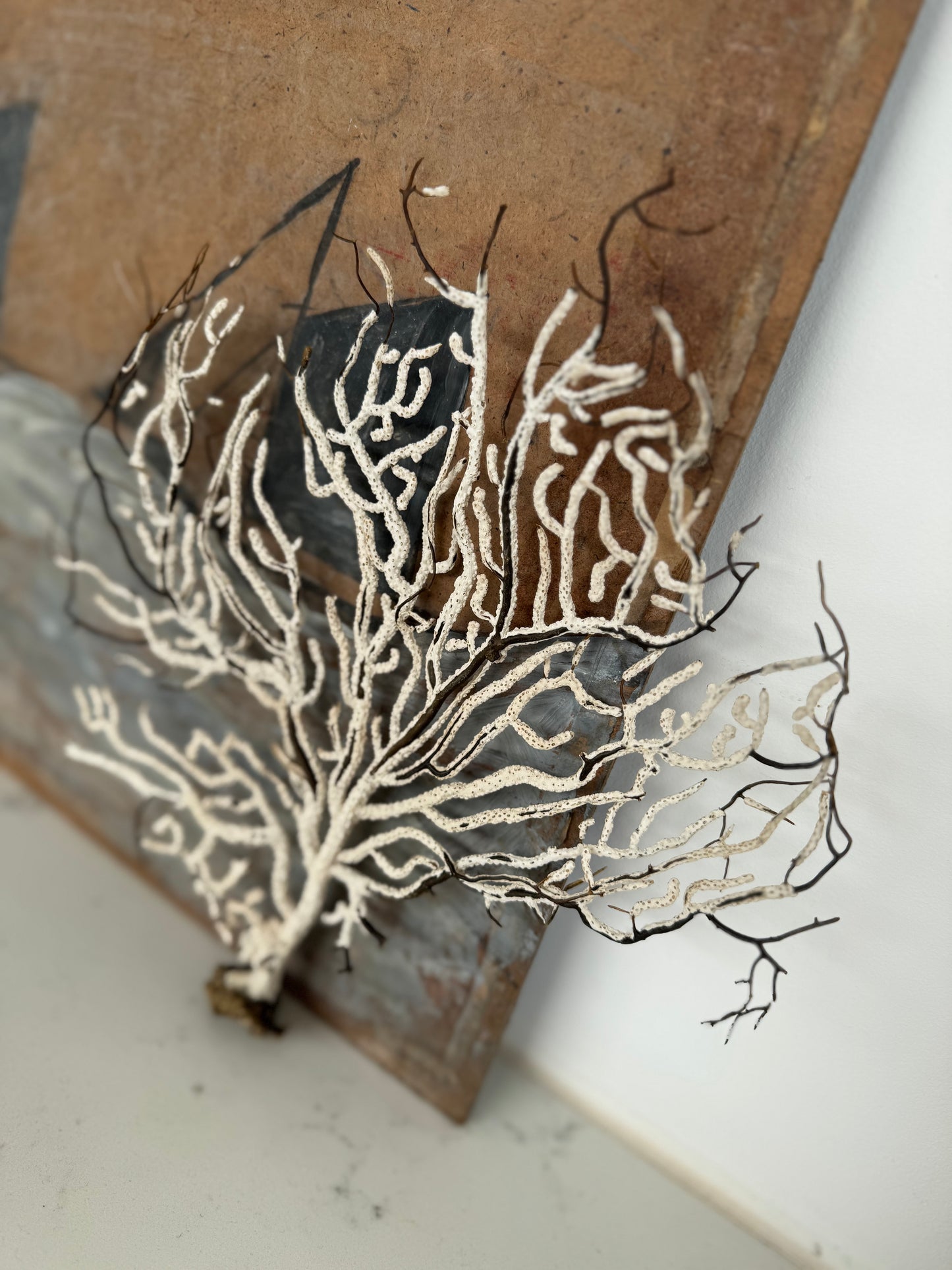 Antique Sea Fan Coral Specimen