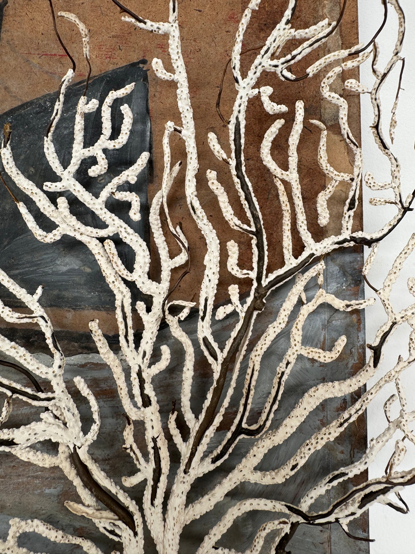Antique Sea Fan Coral Specimen