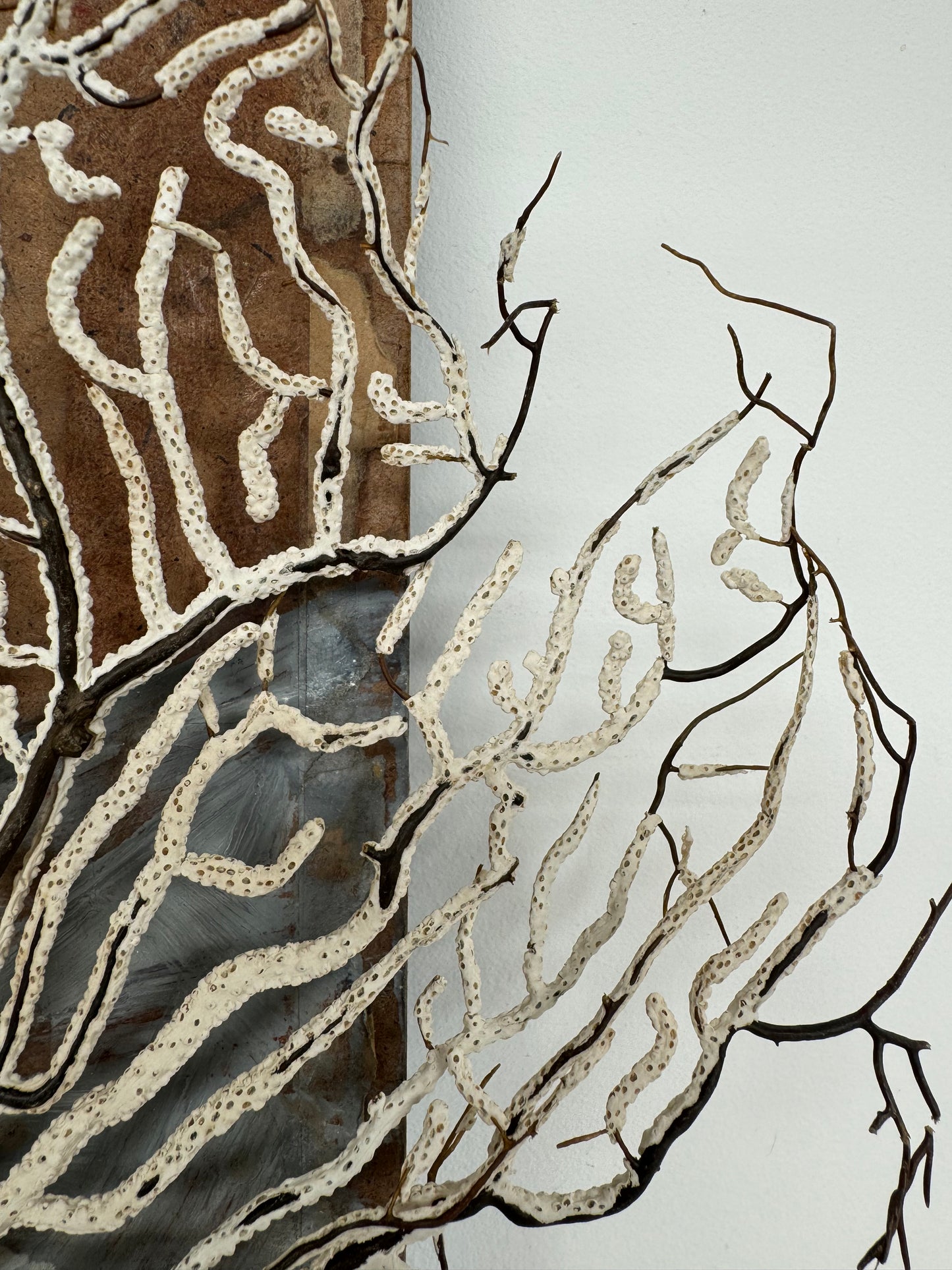 Antique Sea Fan Coral Specimen