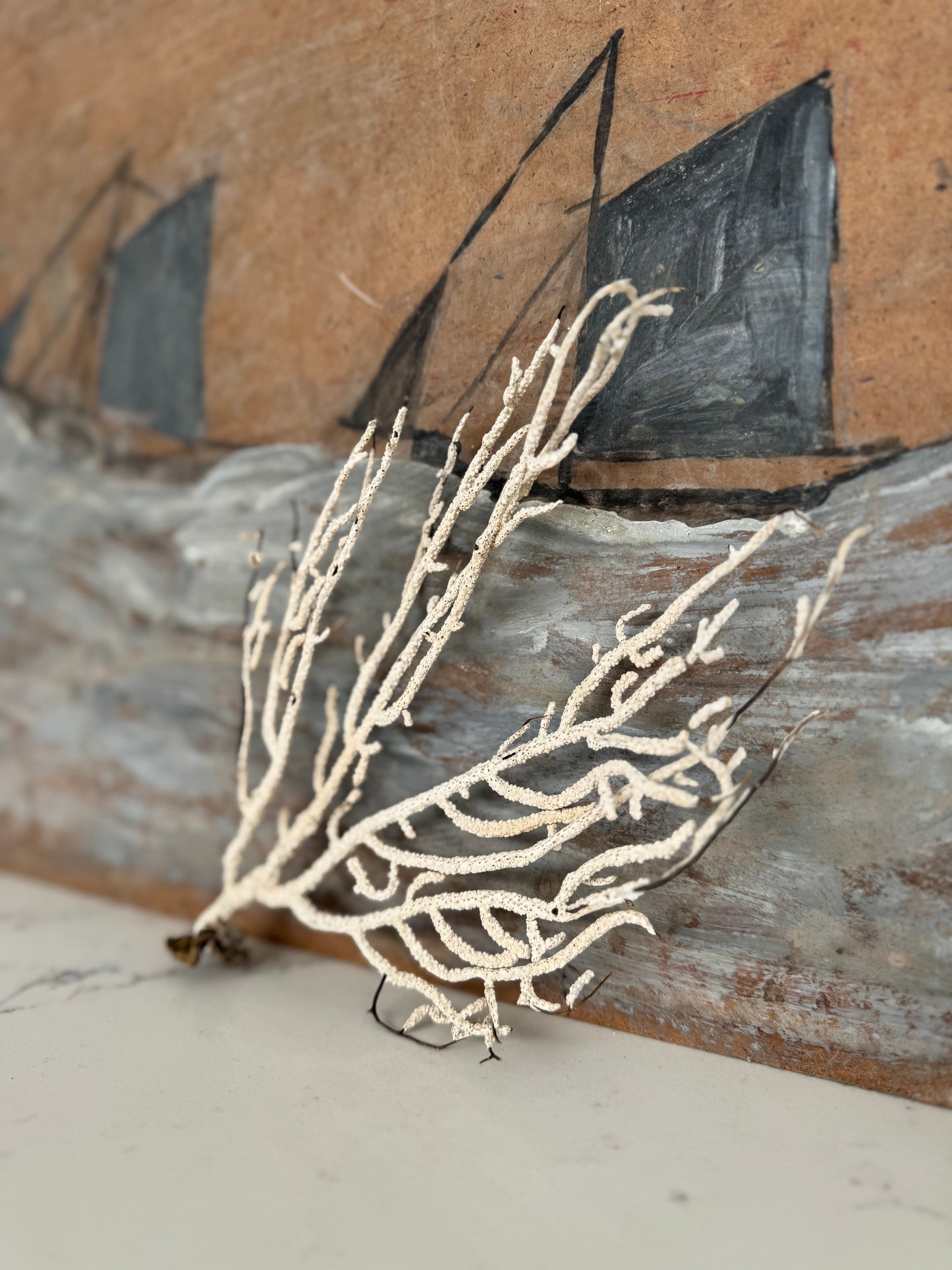 Antique Sea Fan Coral Specimen