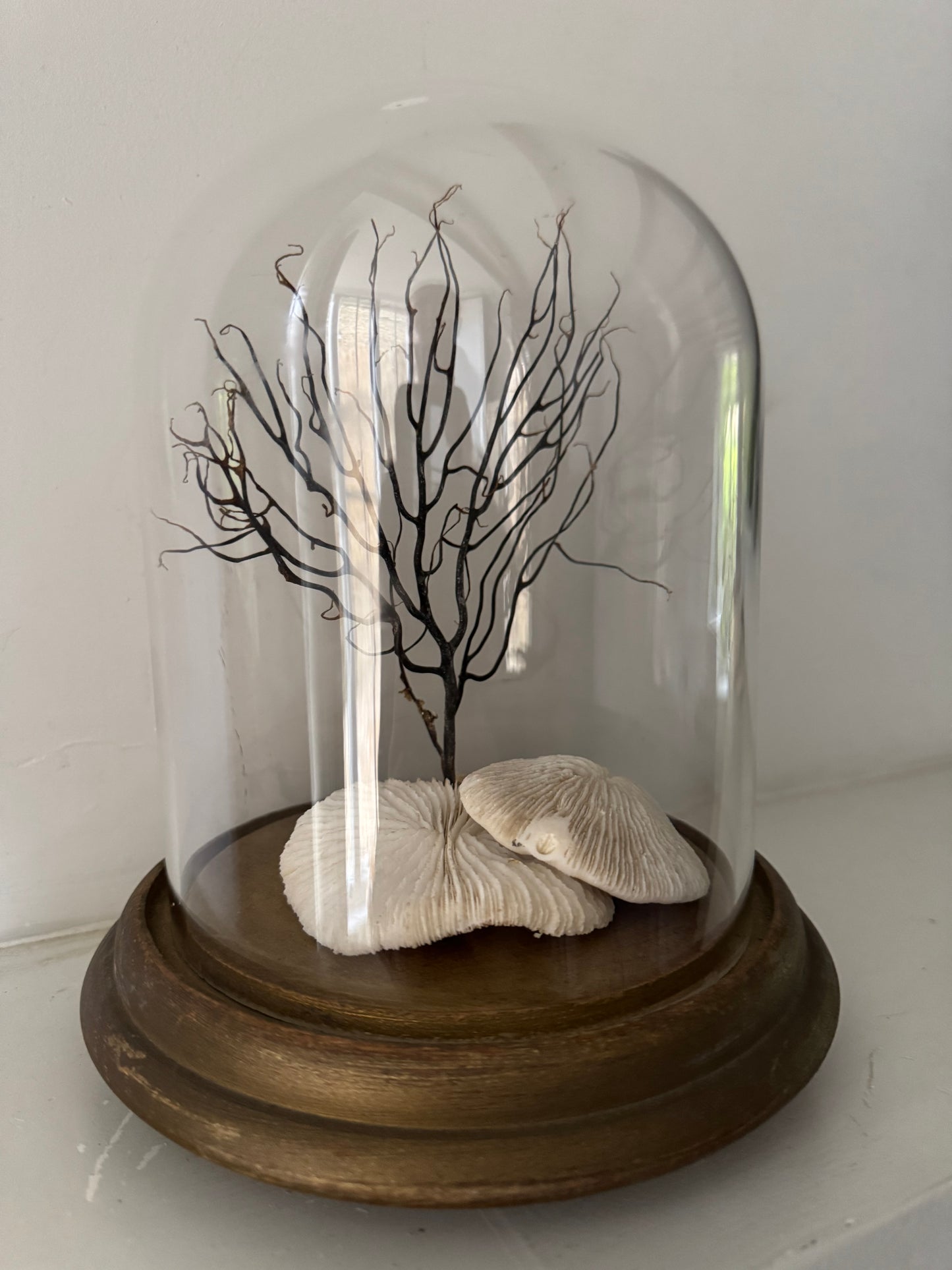 Vintage Small Cloche & Stand
