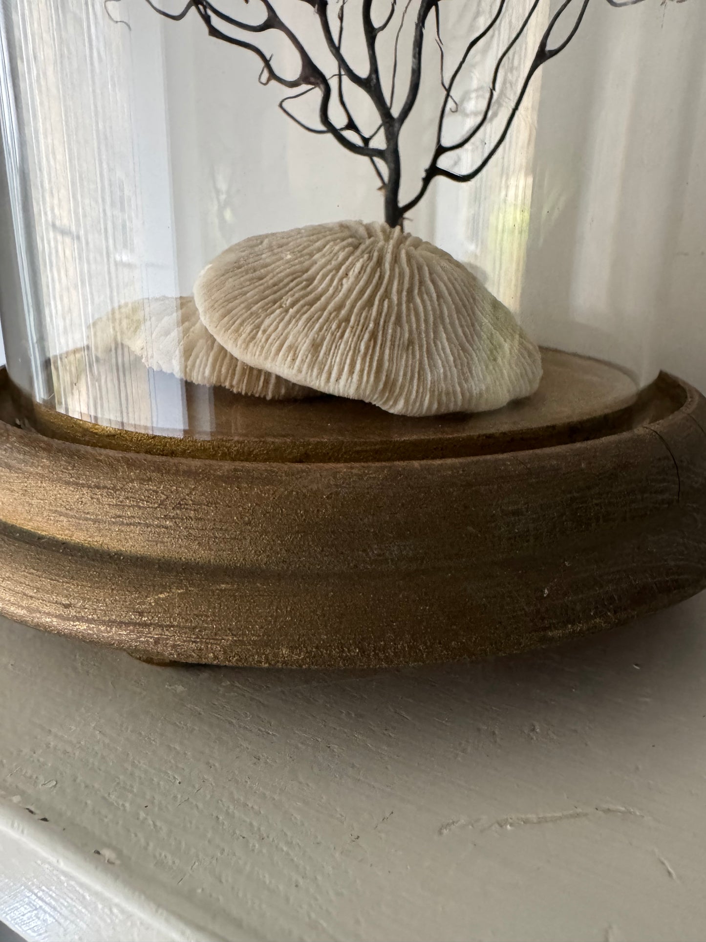 Vintage Small Cloche & Stand