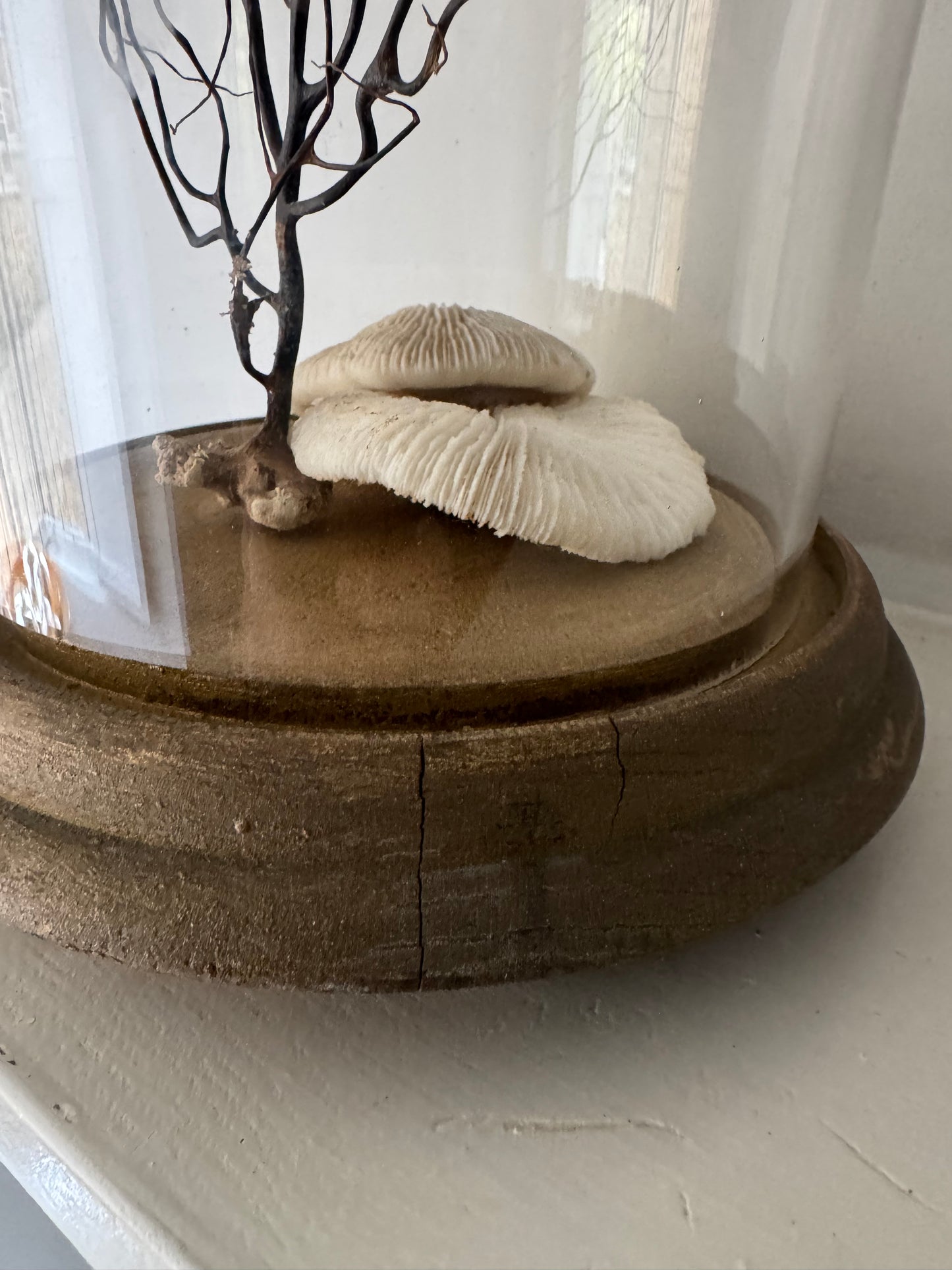 Vintage Small Cloche & Stand