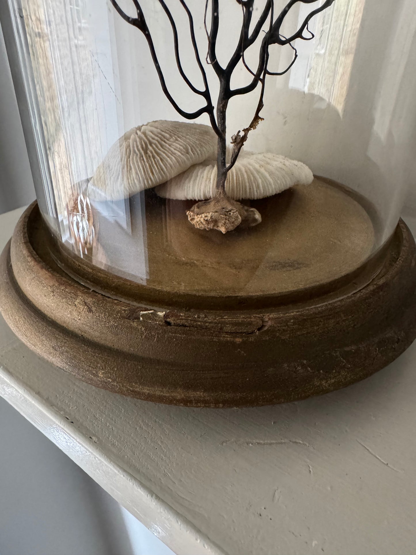 Vintage Small Cloche & Stand