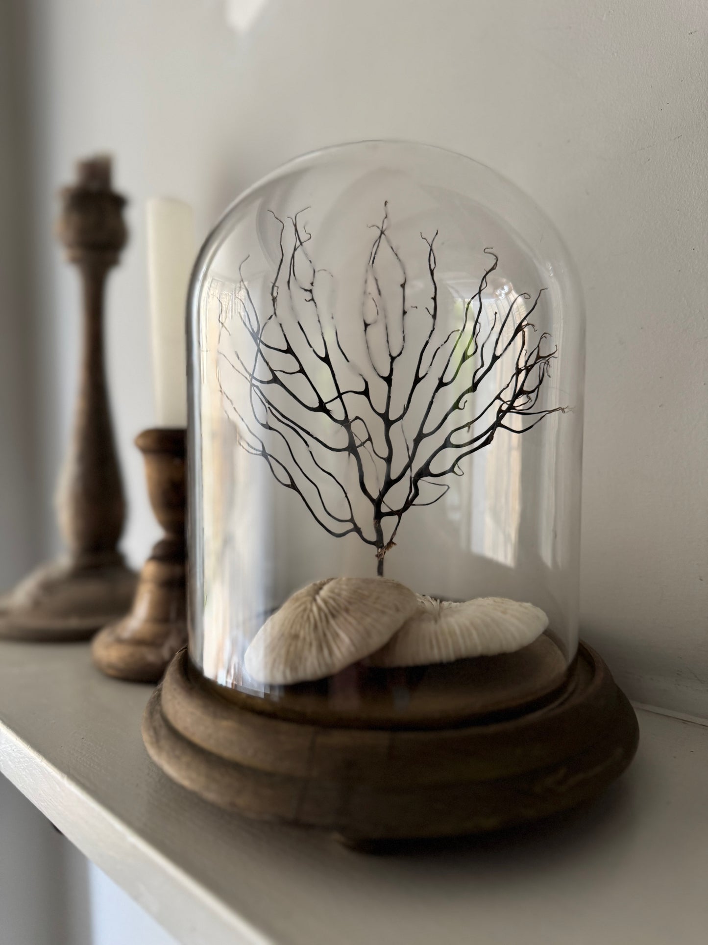 Vintage Small Cloche & Stand