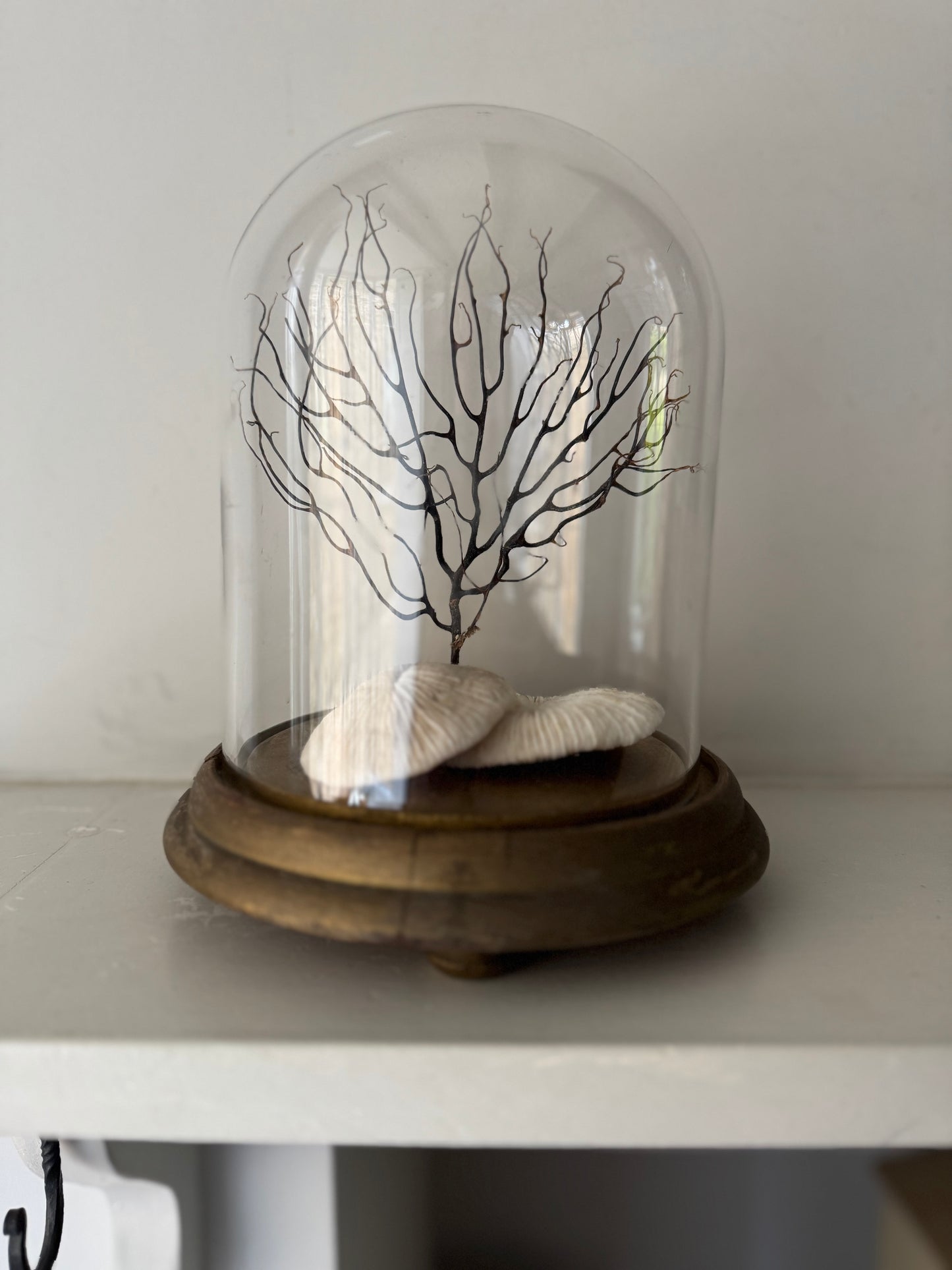 Vintage Small Cloche & Stand