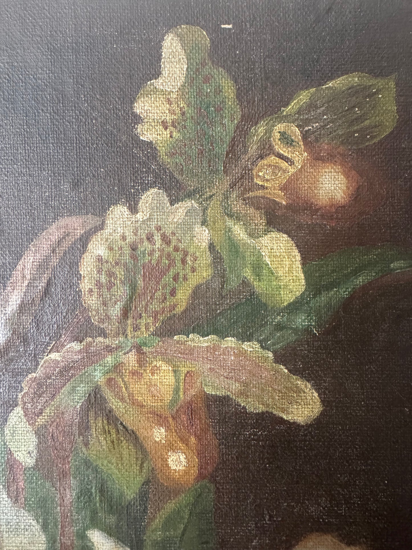 Vintage Belgian Flower Still Life Oil on Canvas