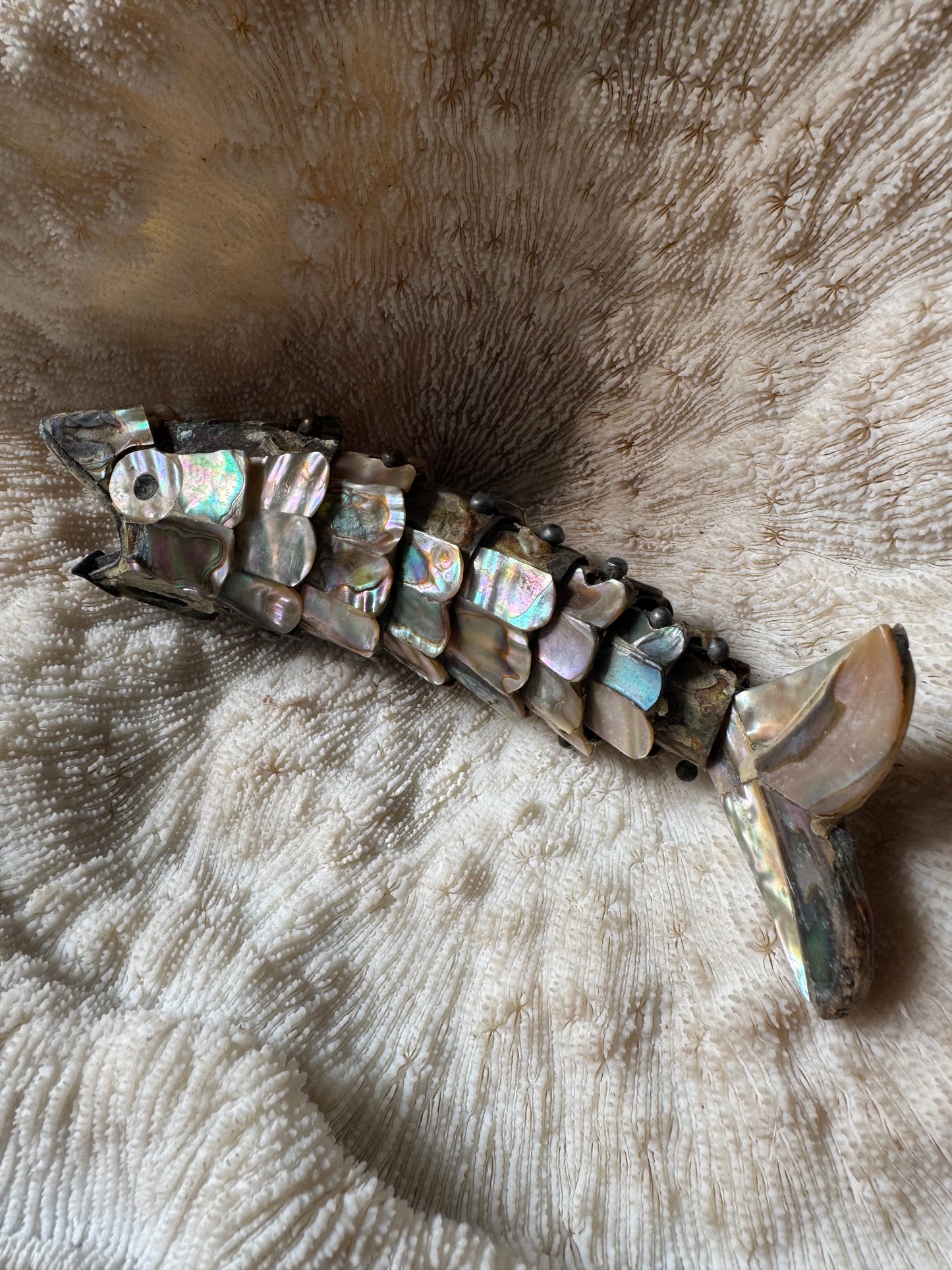 Beautiful Vintage Abalone Fish Bottle Opener