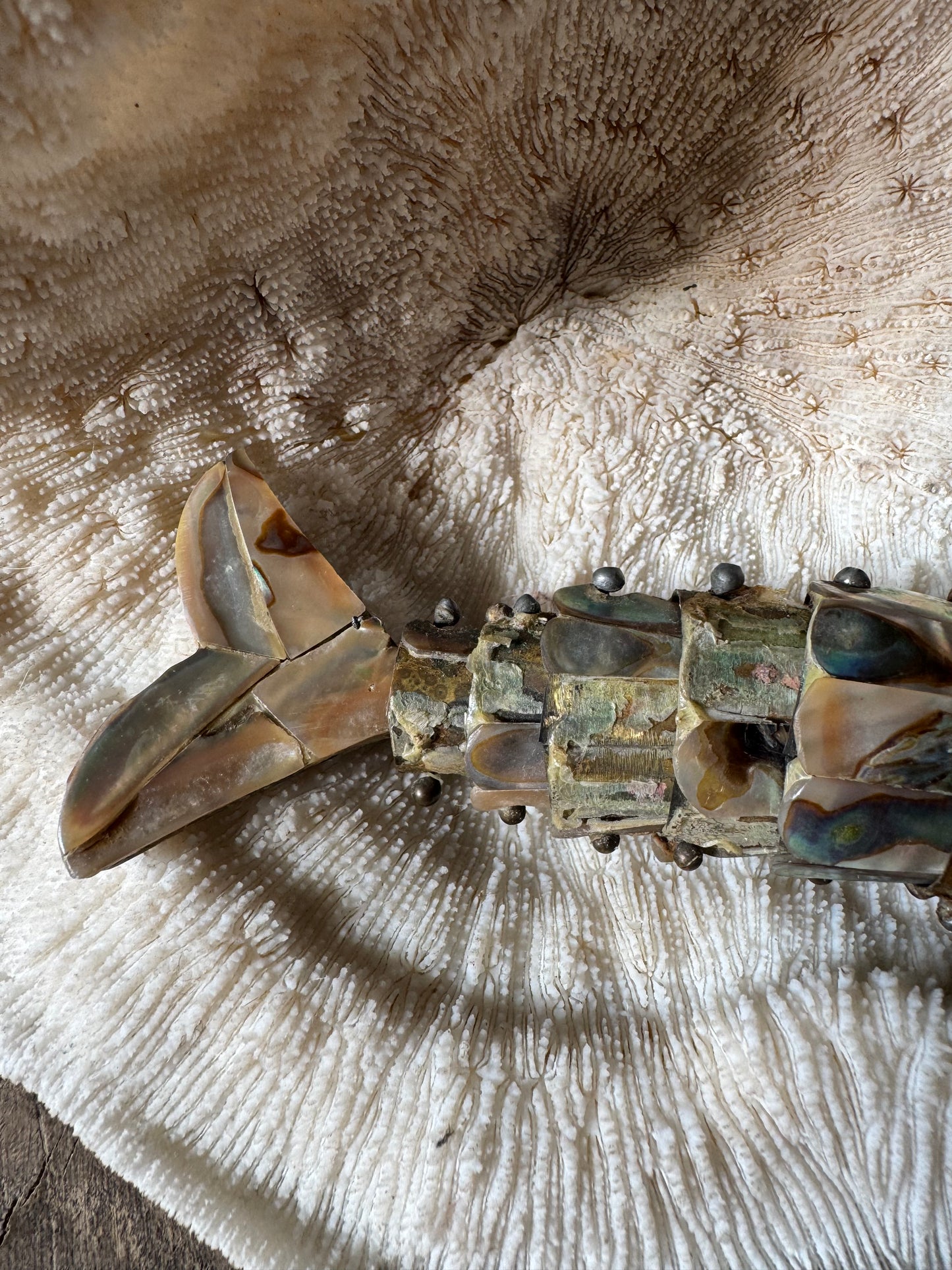 Beautiful Vintage Abalone Fish Bottle Opener
