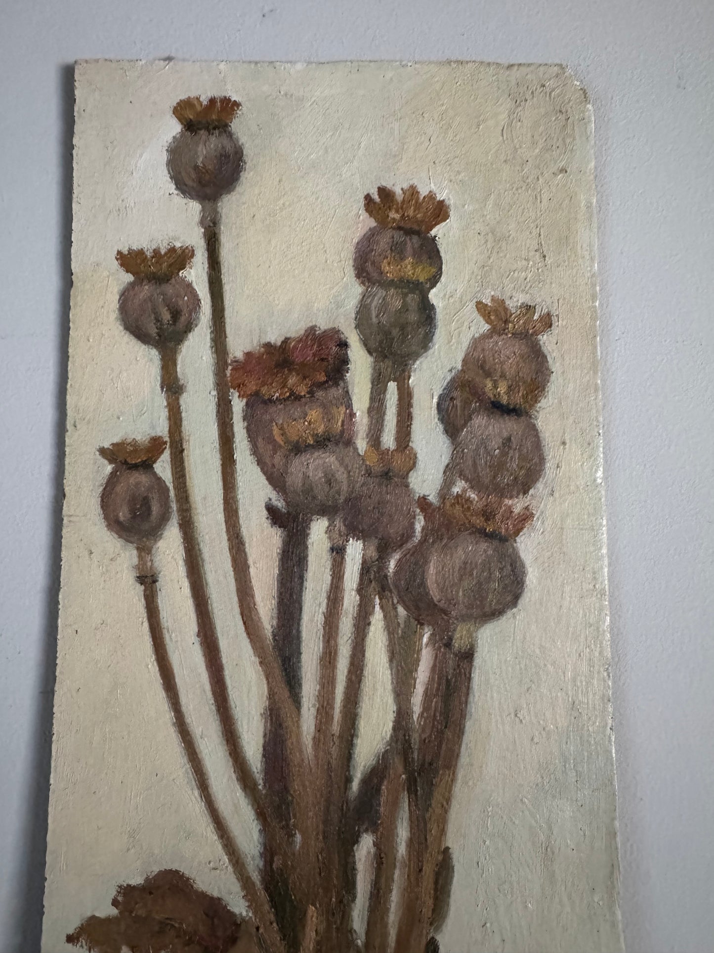 Vintage Poppy Seed Heads Still Life On Board