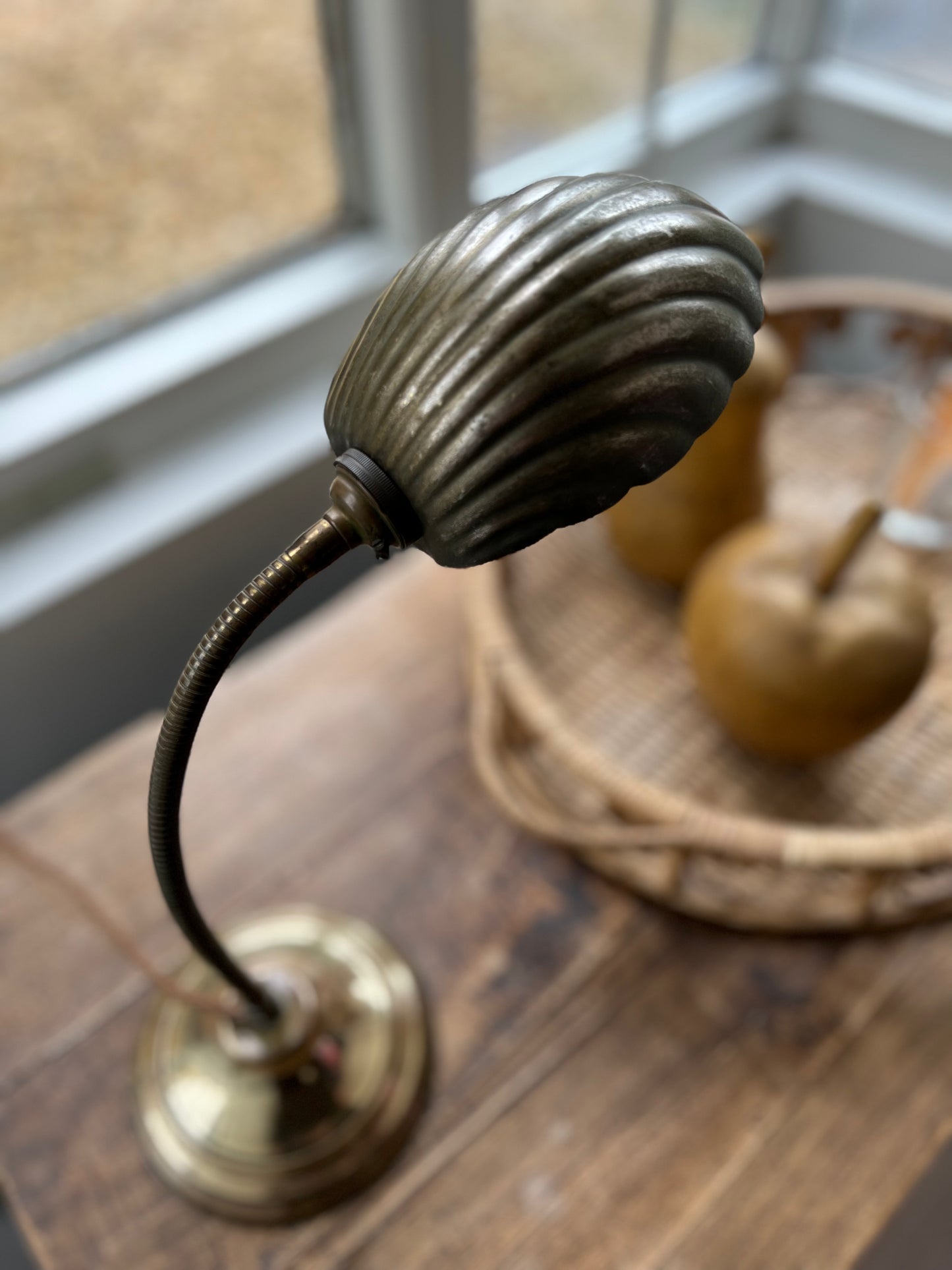 Deco Brass Clam Shell Desk Lamp