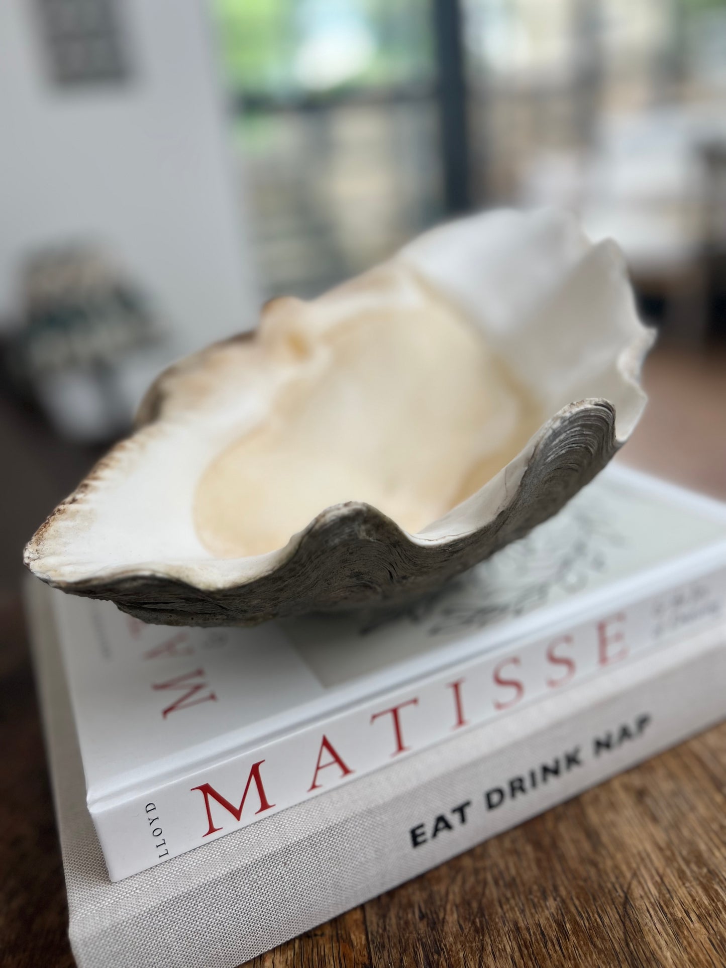 Large Antique Clam Shell