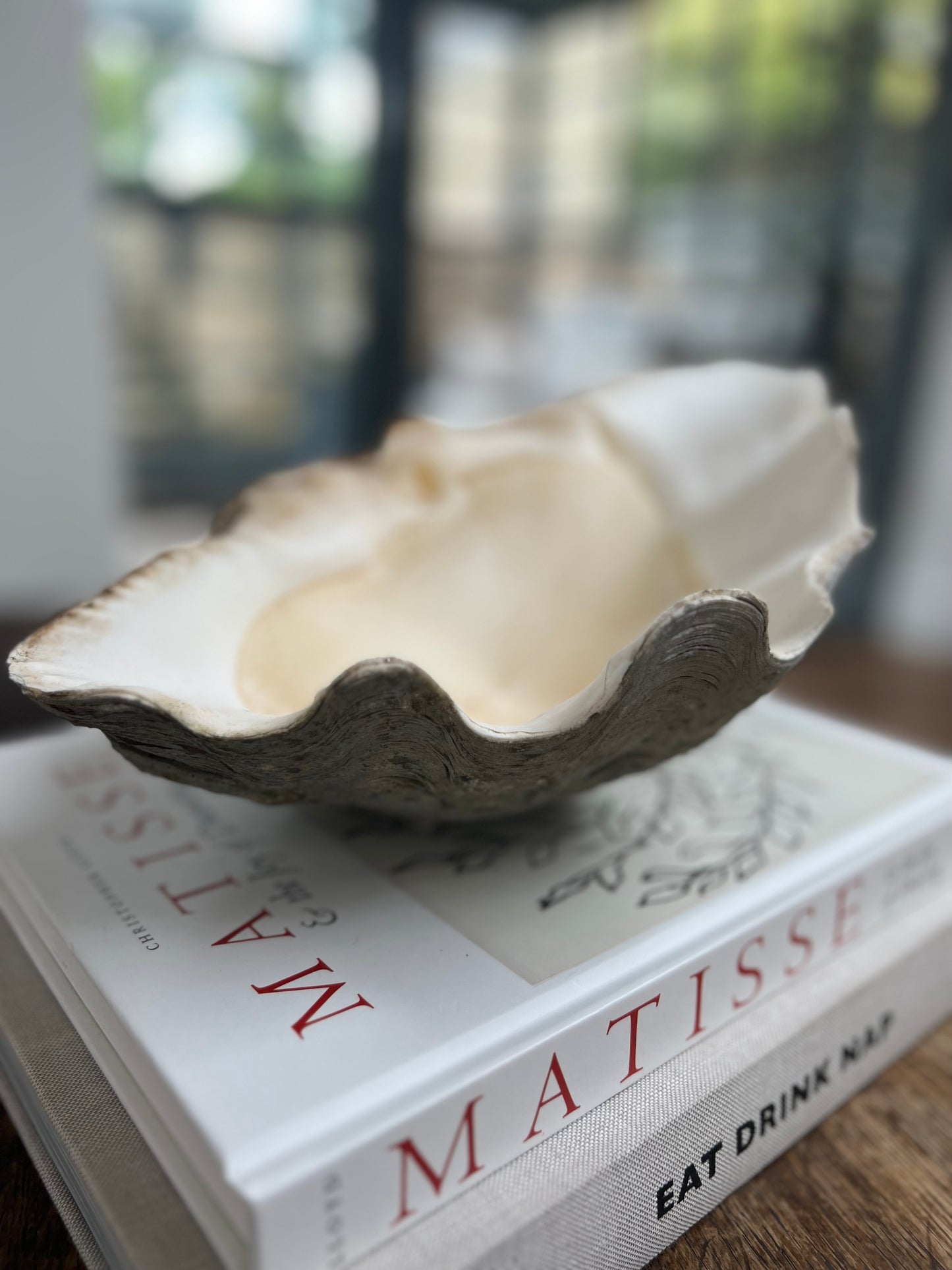 Large Antique Clam Shell