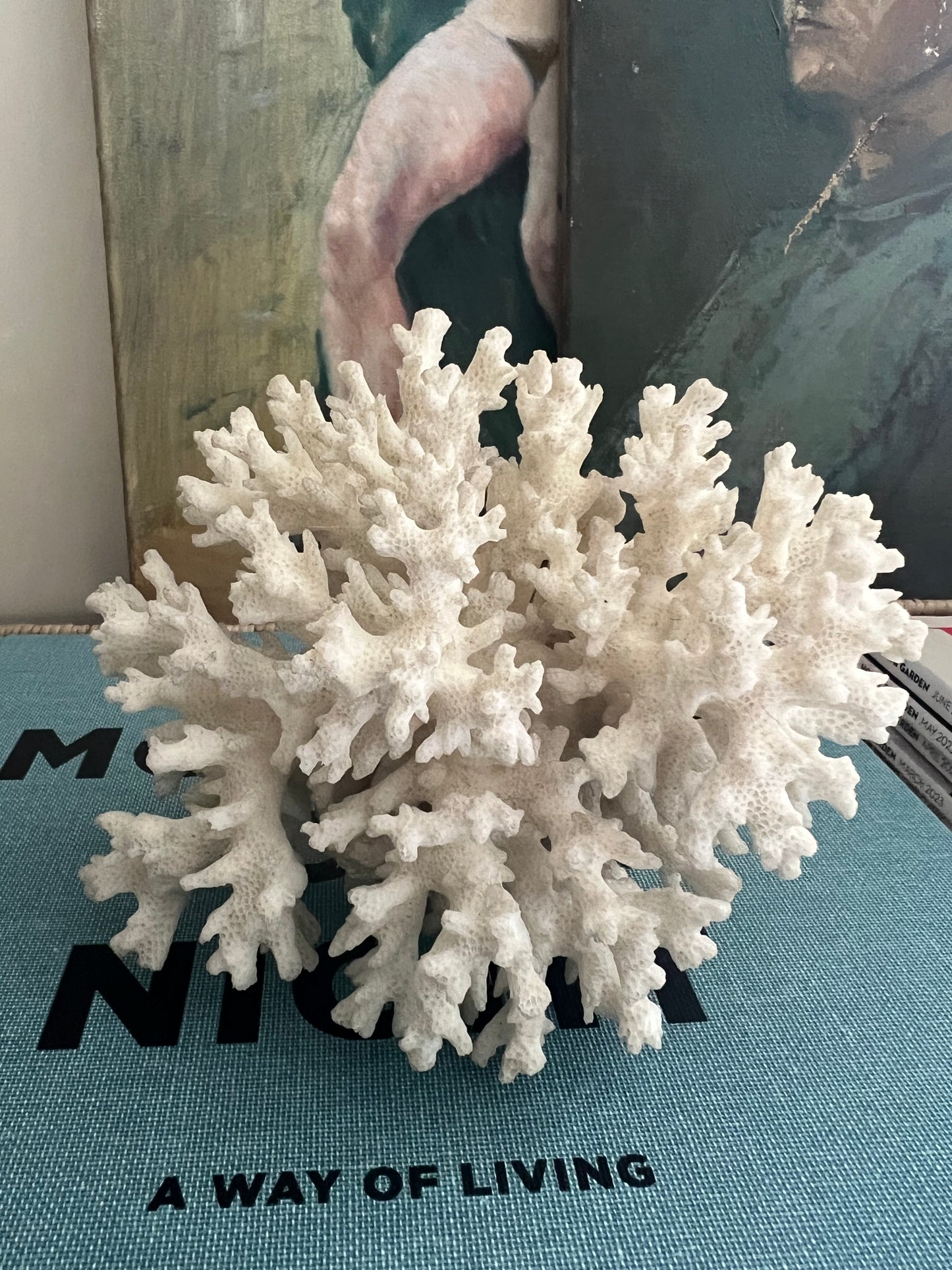 Antique Coral Specimen