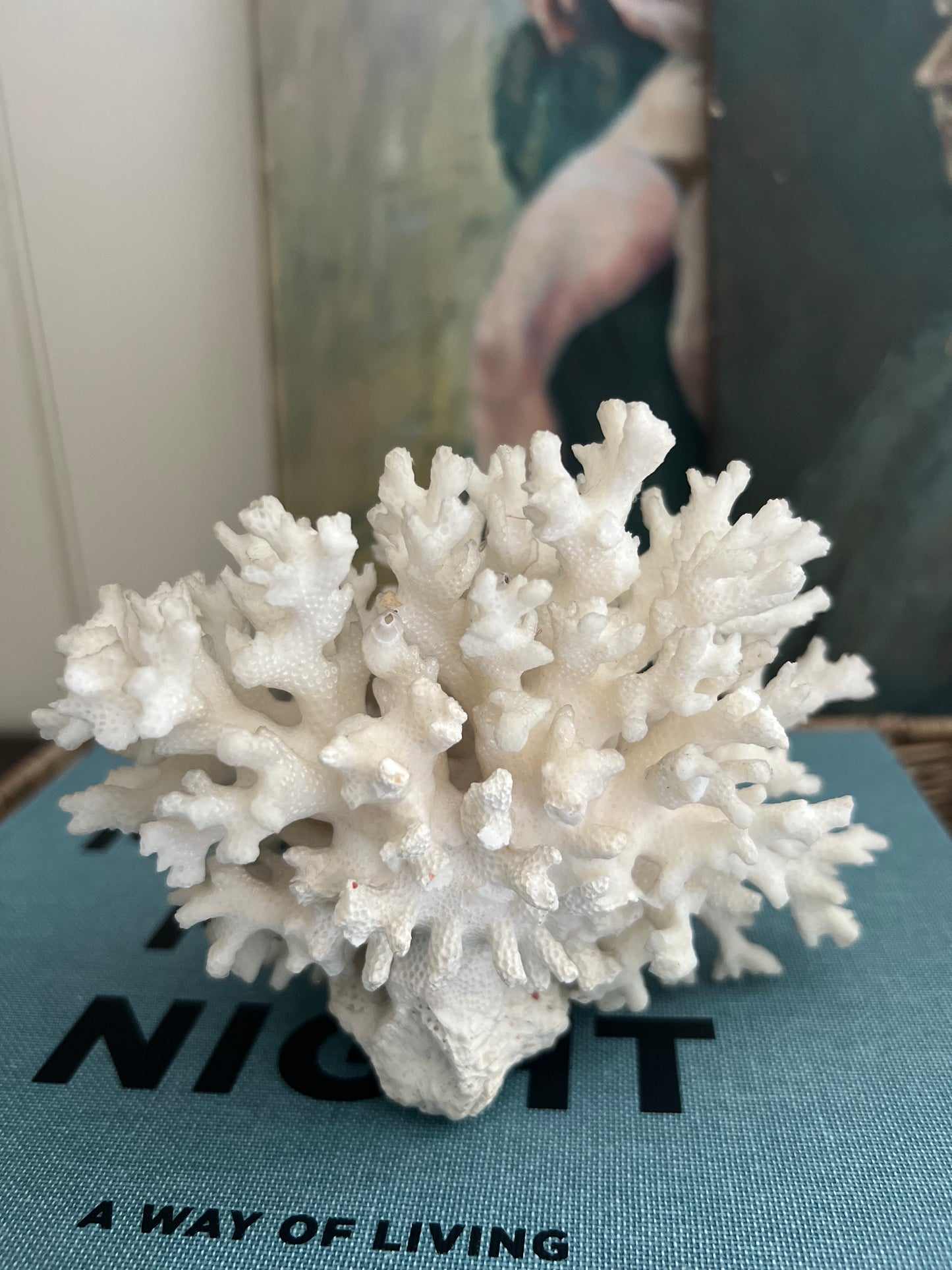 Antique Coral Specimen