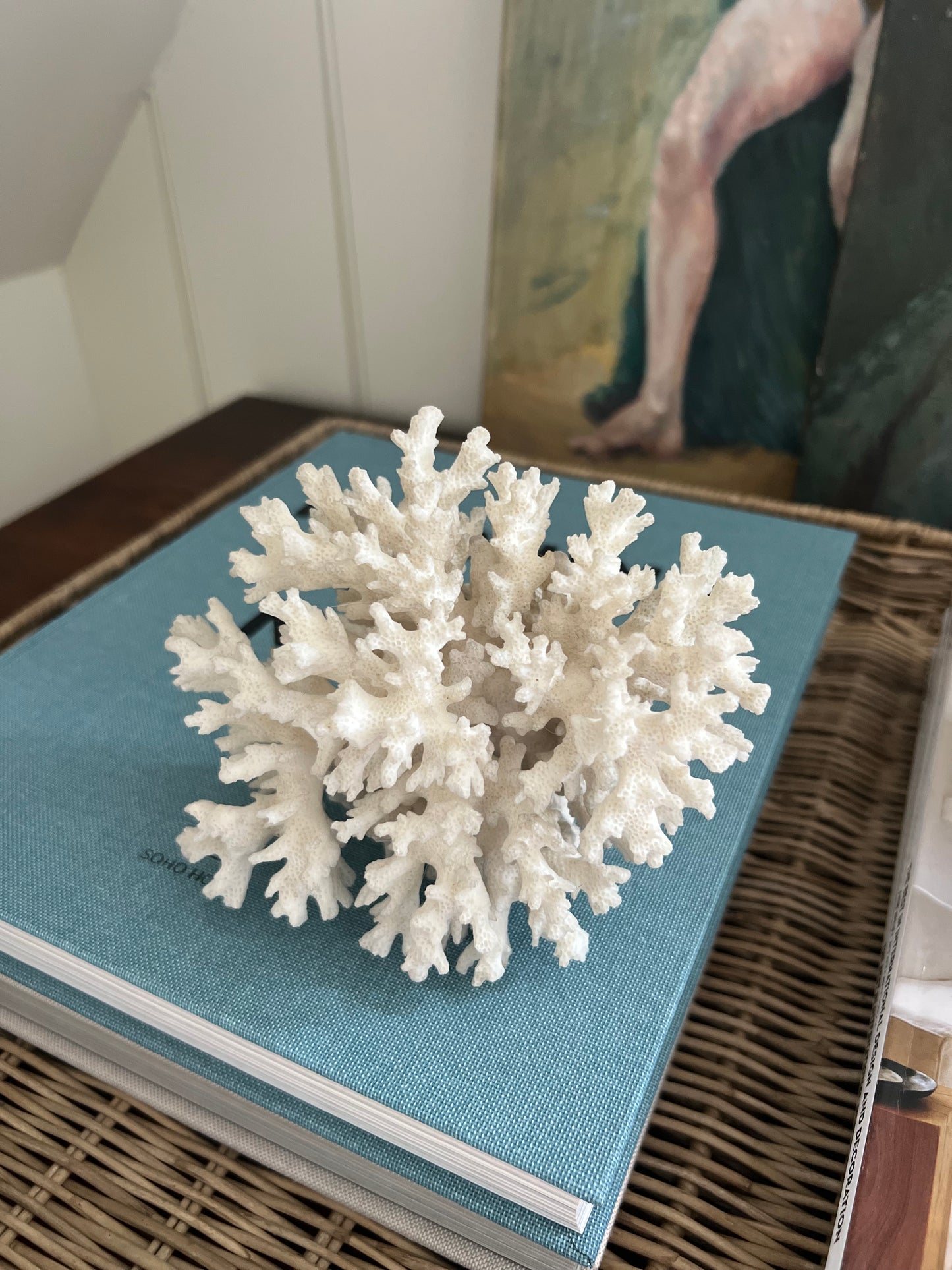 Antique Coral Specimen