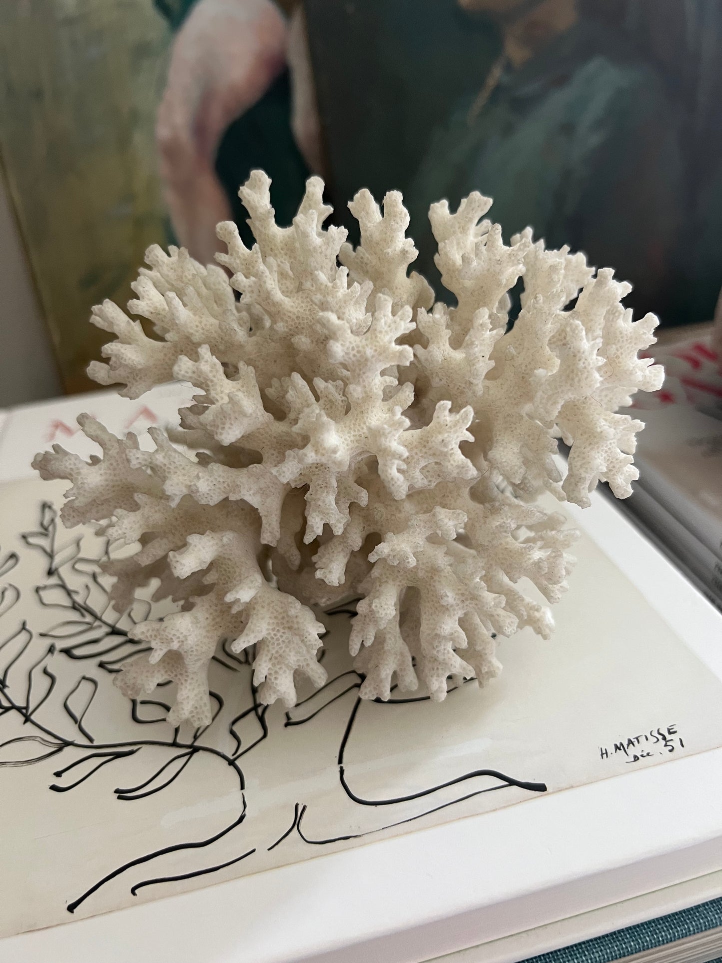 Antique Coral Specimen