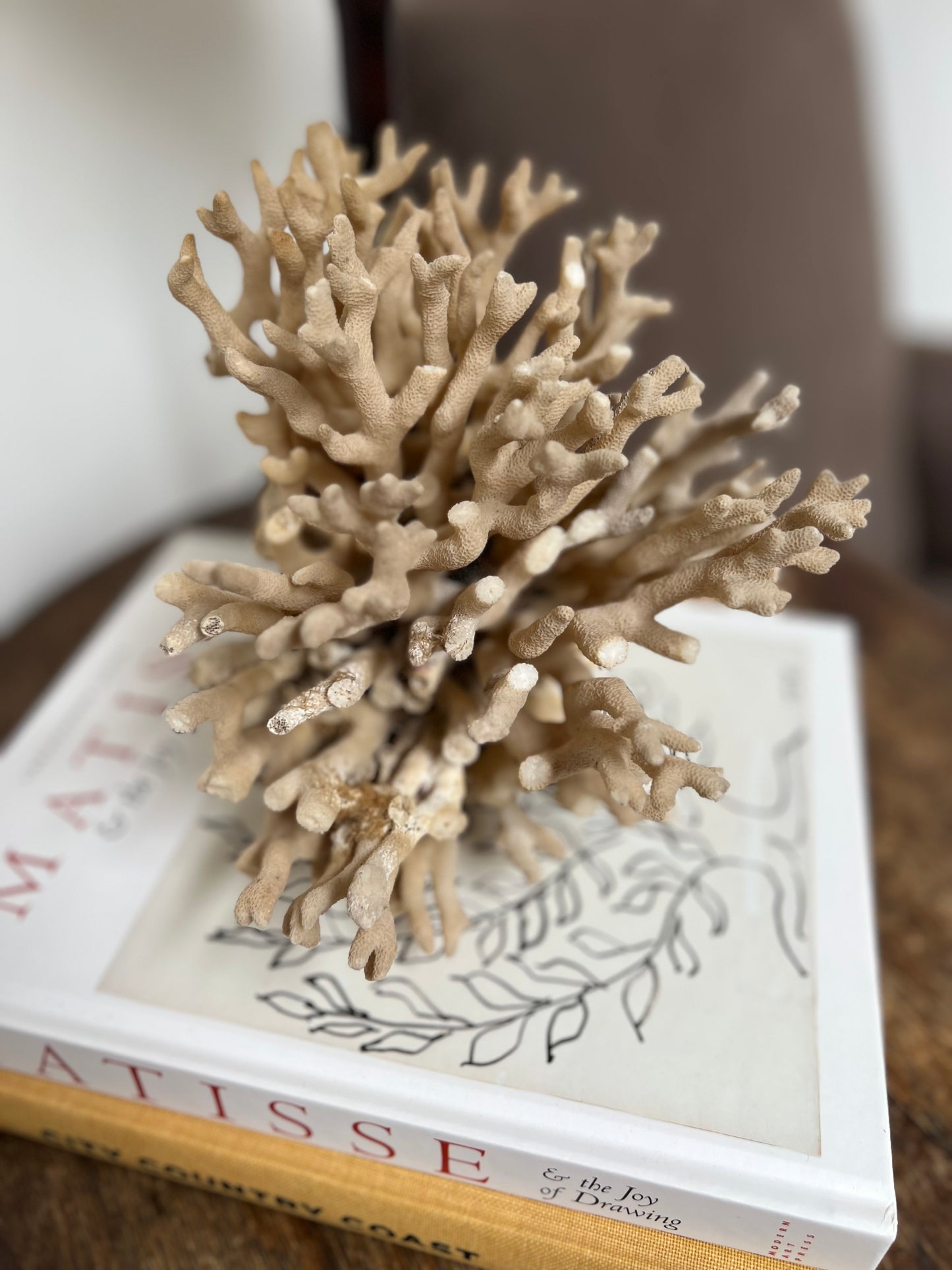 Antique Coral Specimen