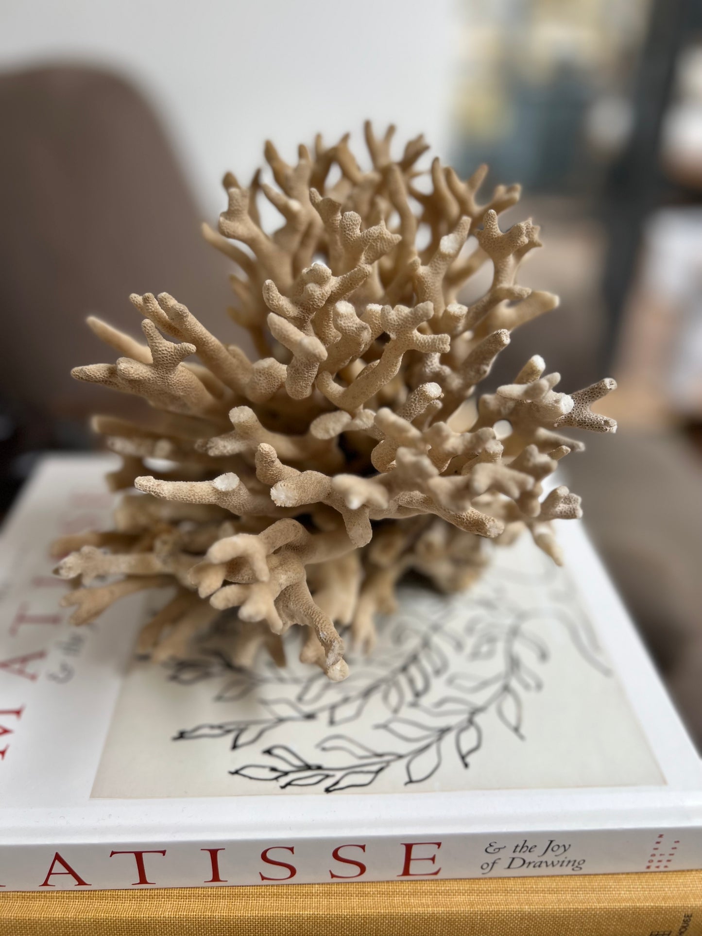 Antique Coral Specimen