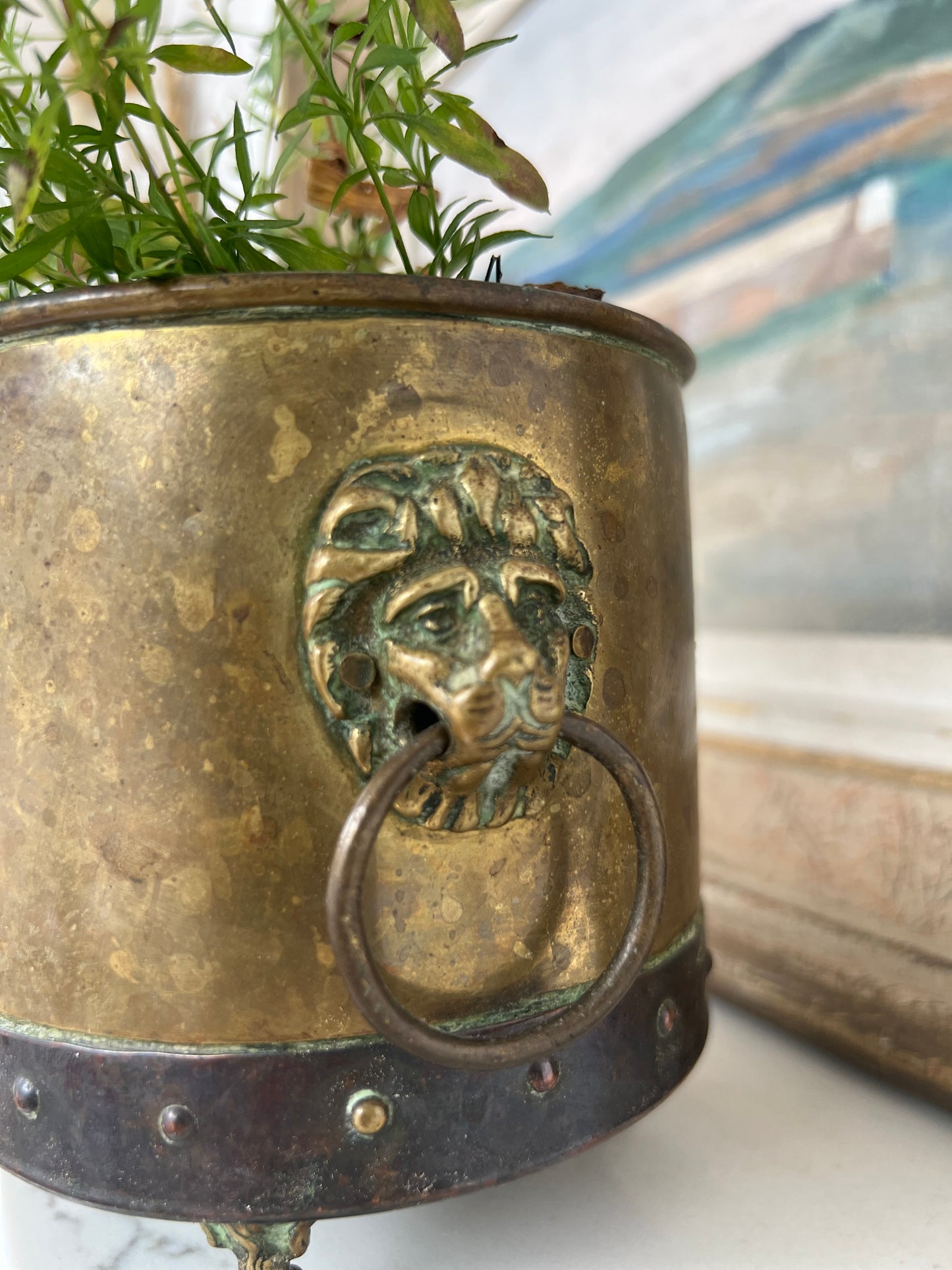 Small Antique Brass Lions Head Planter