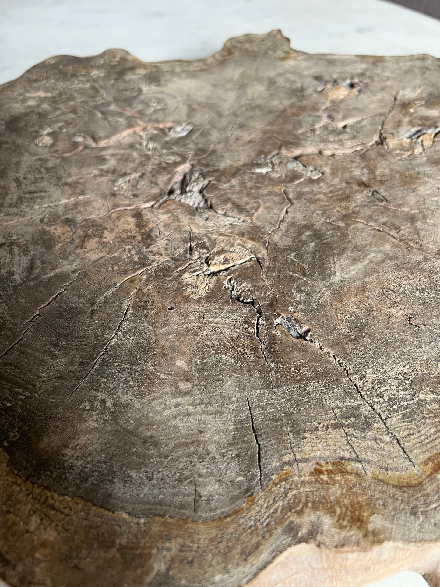 Vintage Burr Oak Plinth