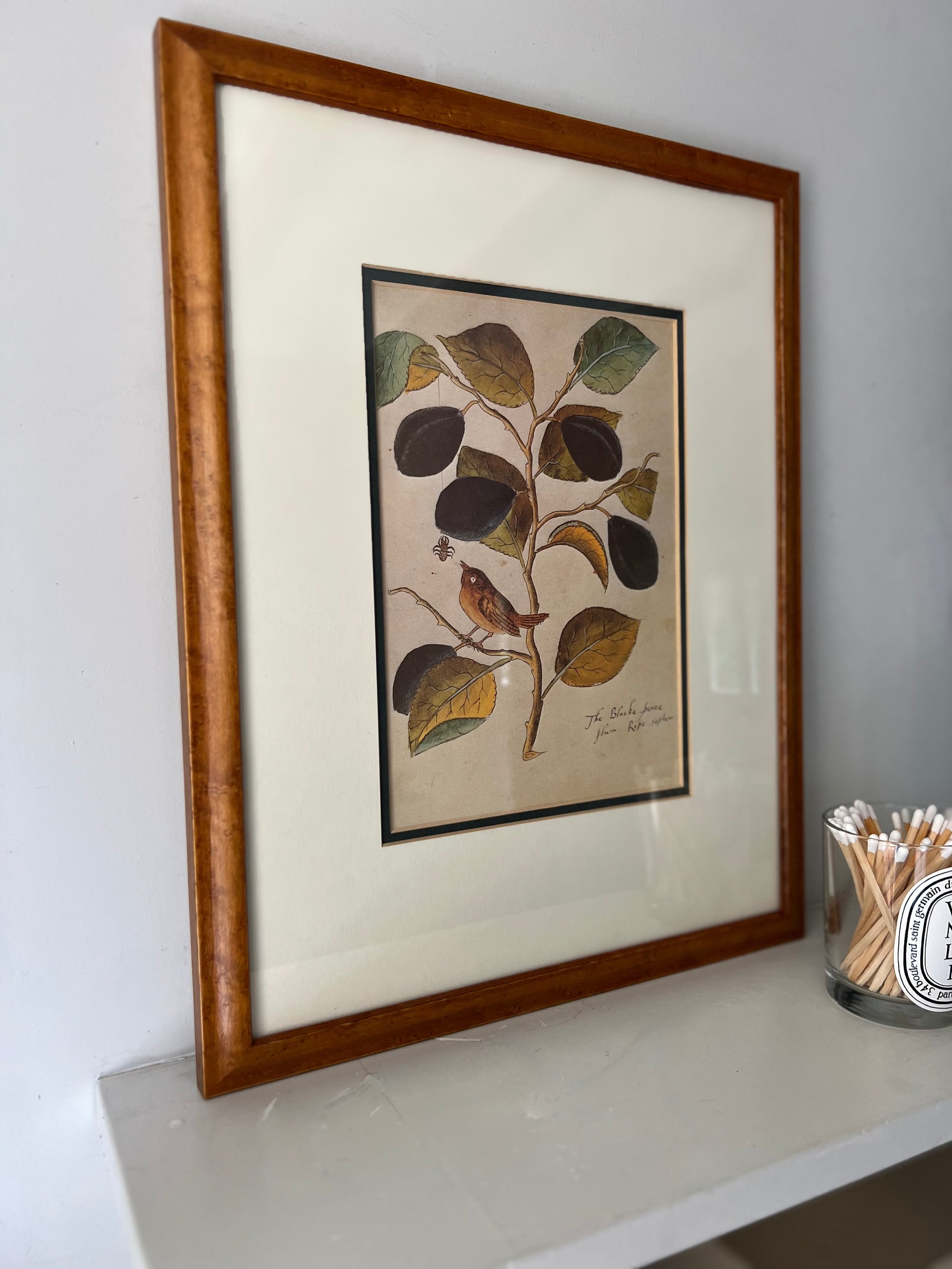 Vintage Framed Leaves & Bird Print