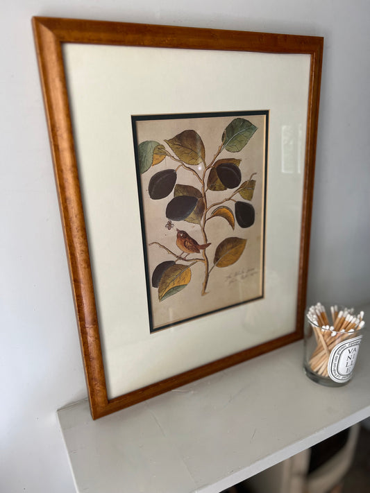 Vintage Framed Leaves & Bird Print