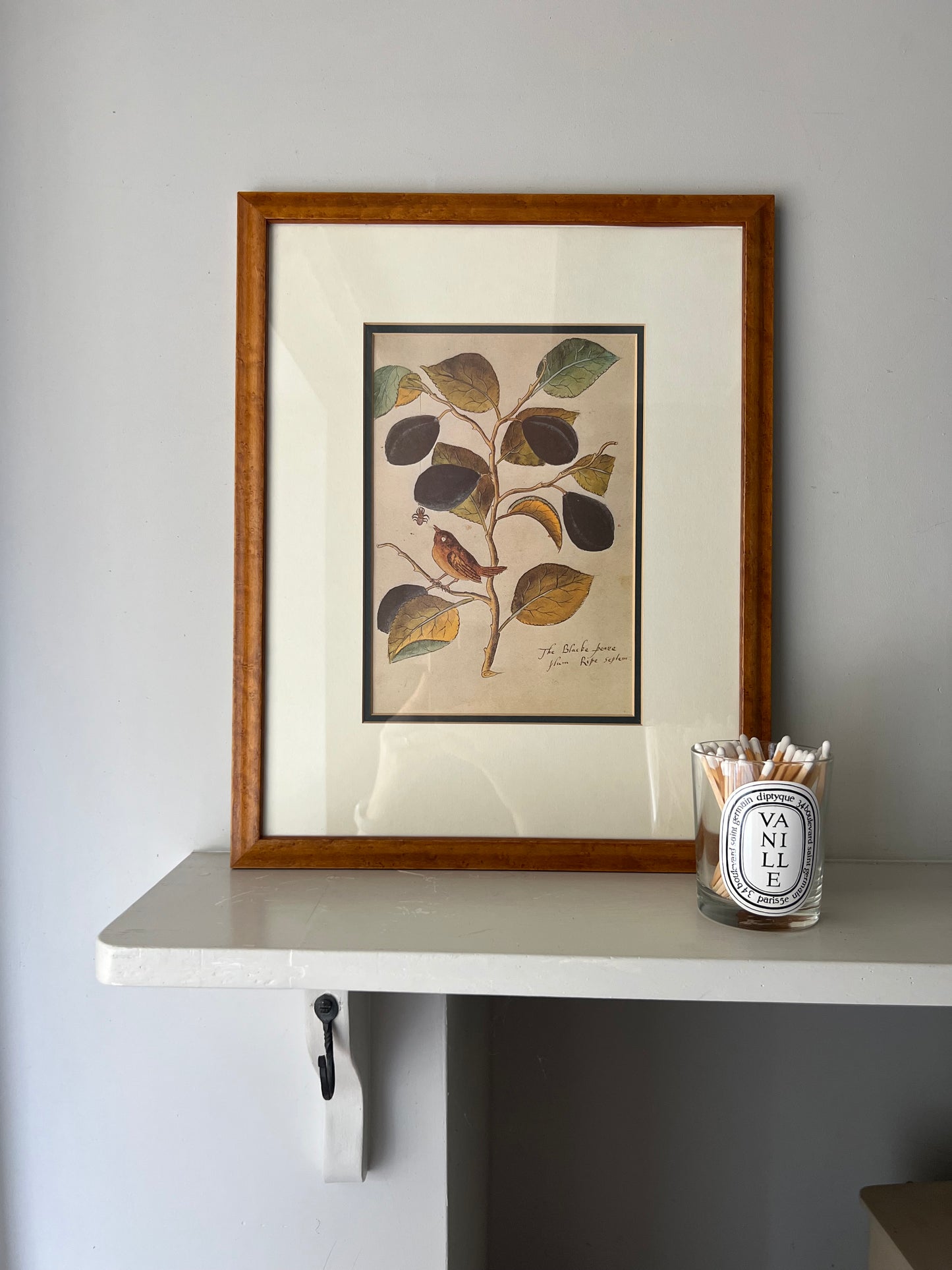 Vintage Framed Leaves & Bird Print