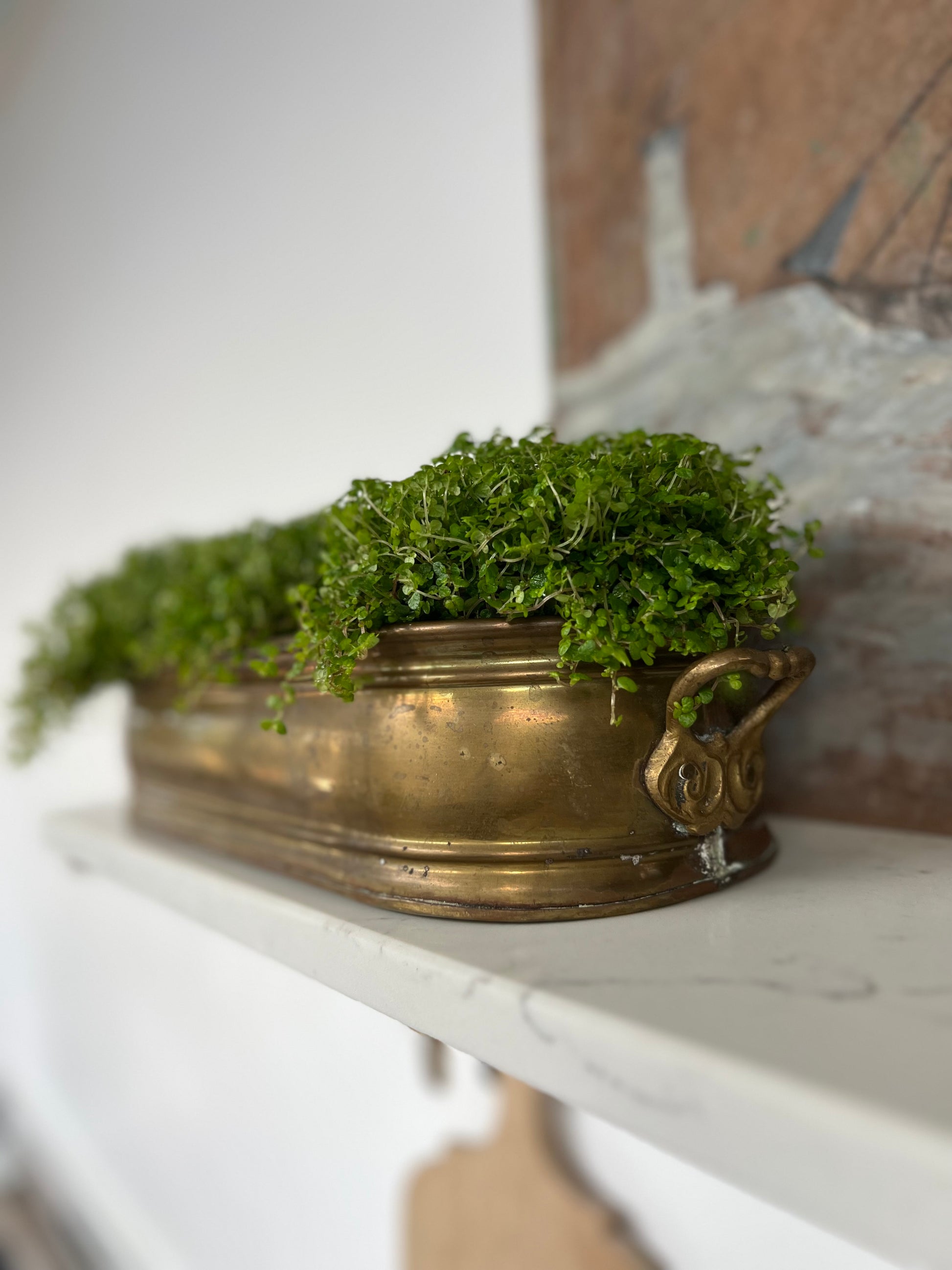 Antique Brass Planter