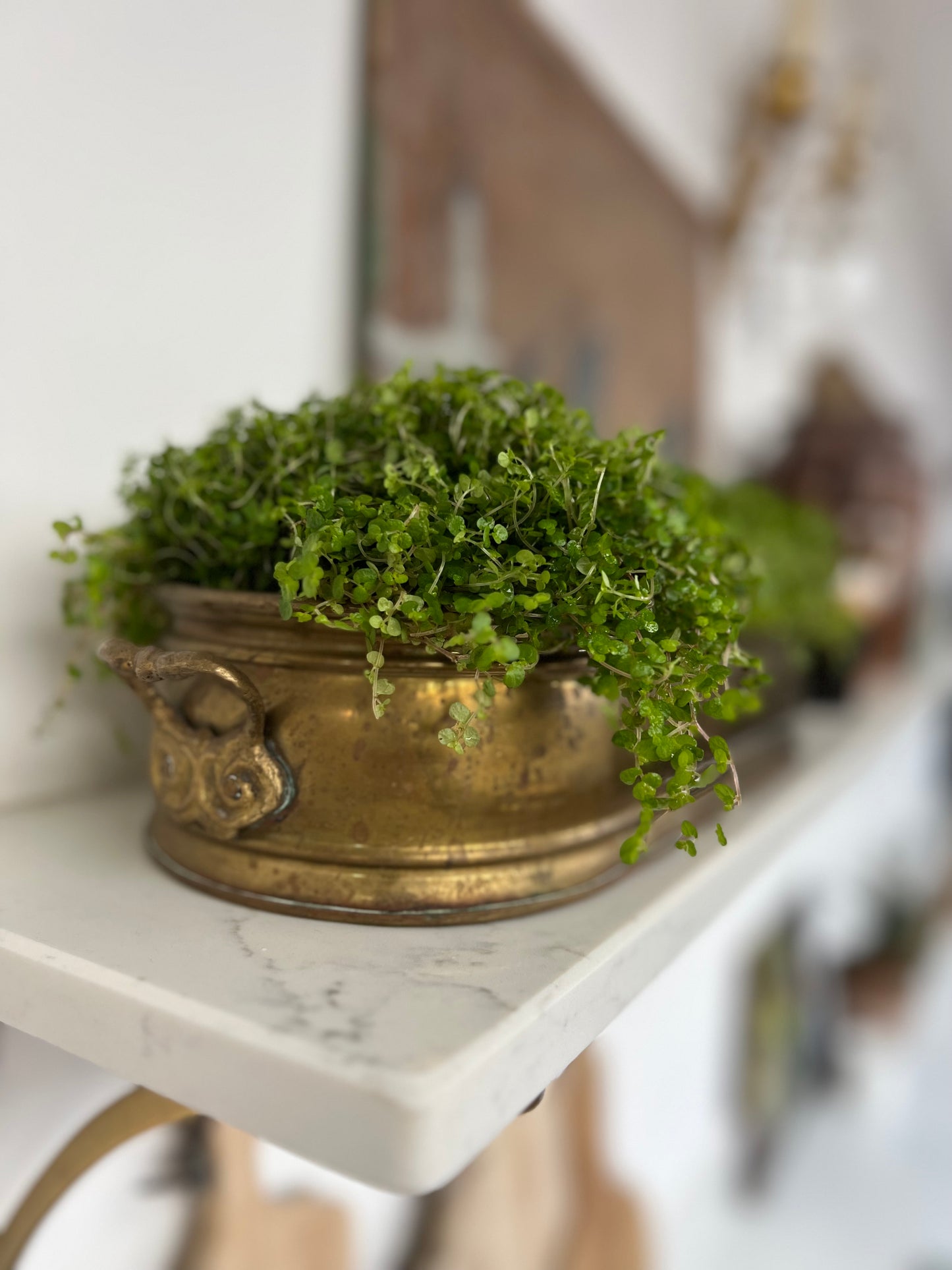 Antique Brass Planter