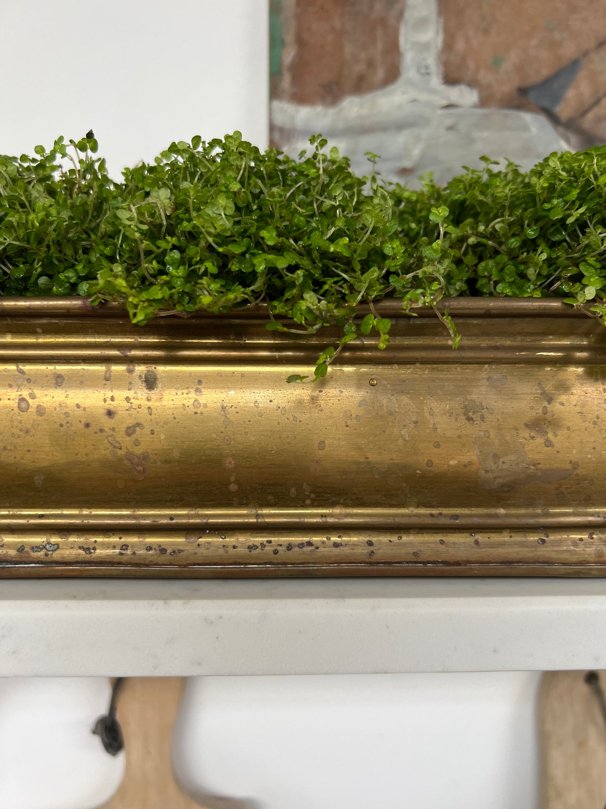 Antique Brass Planter