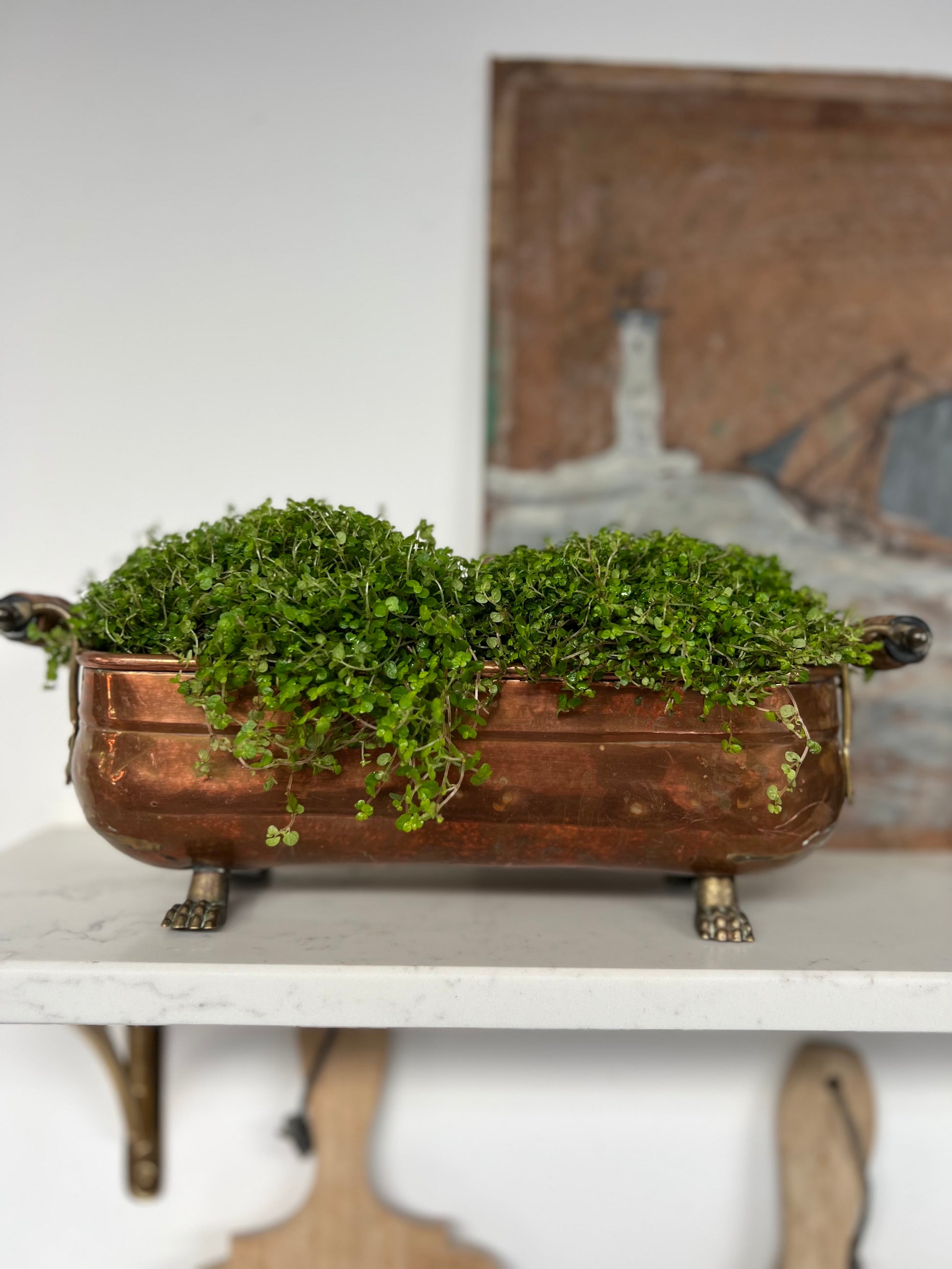 Antique Copper & Brass Planter With Feet