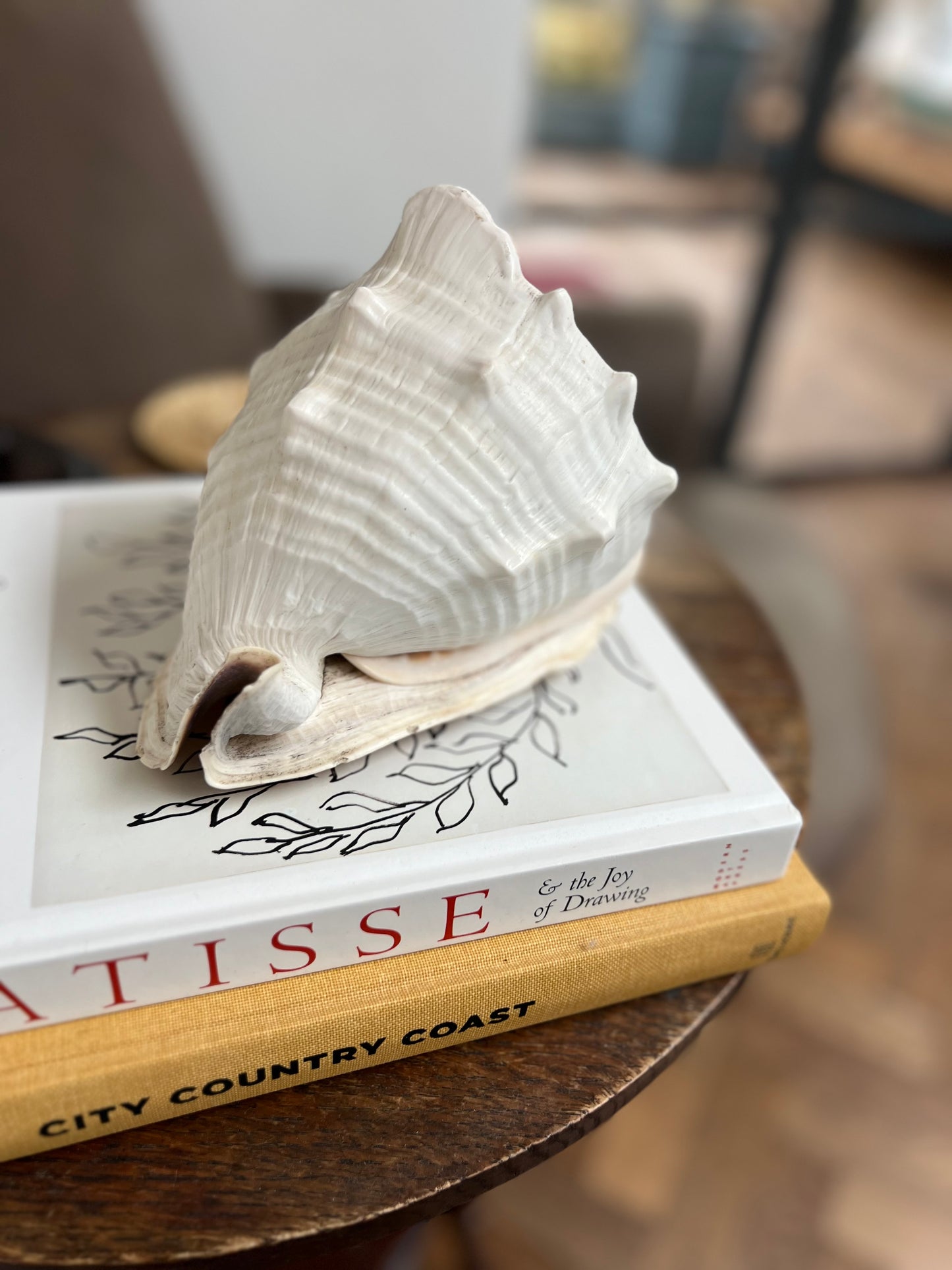 Large Antique Conch Shell