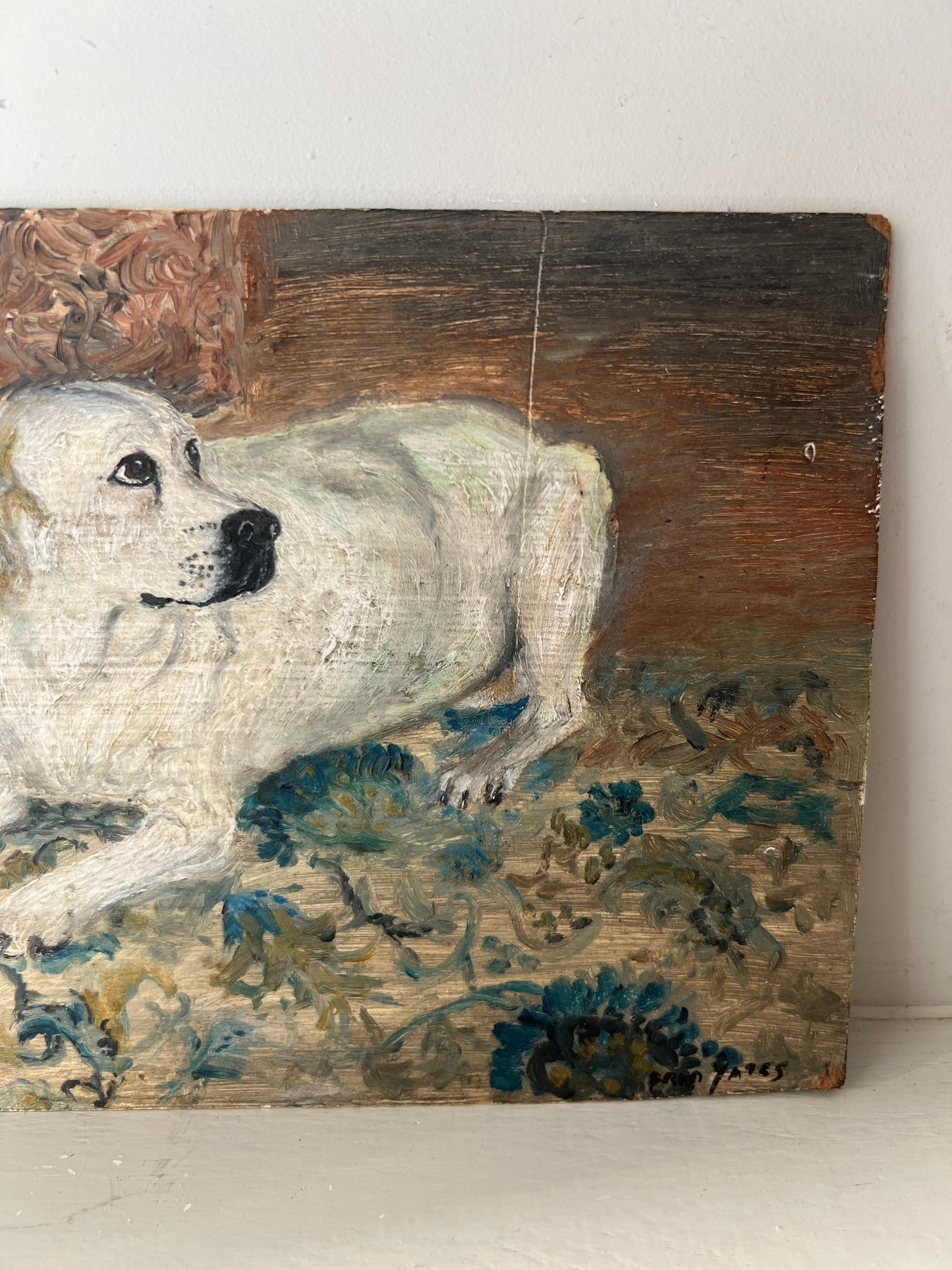 Vintage Mid Century Portrait Of Labrador On Board