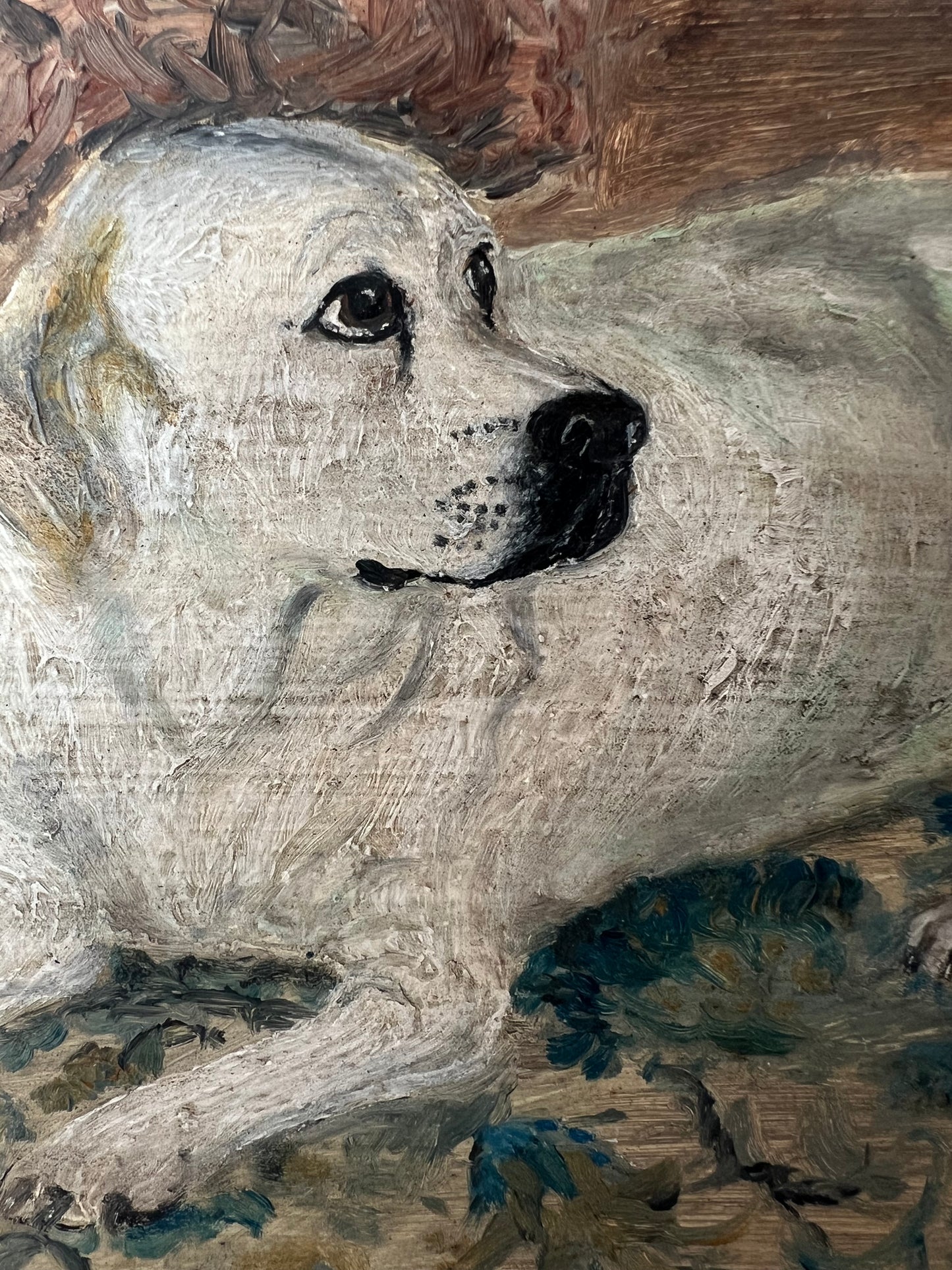 Vintage Mid Century Portrait Of Labrador On Board