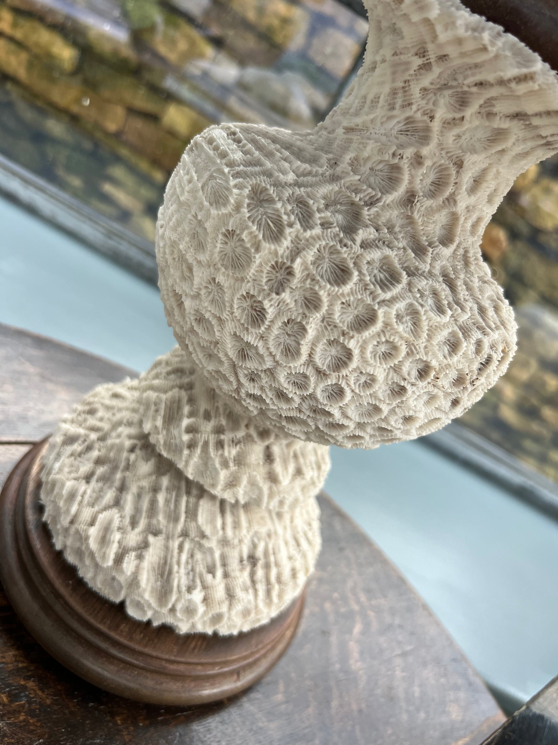 Antique Turned Coral Lamp