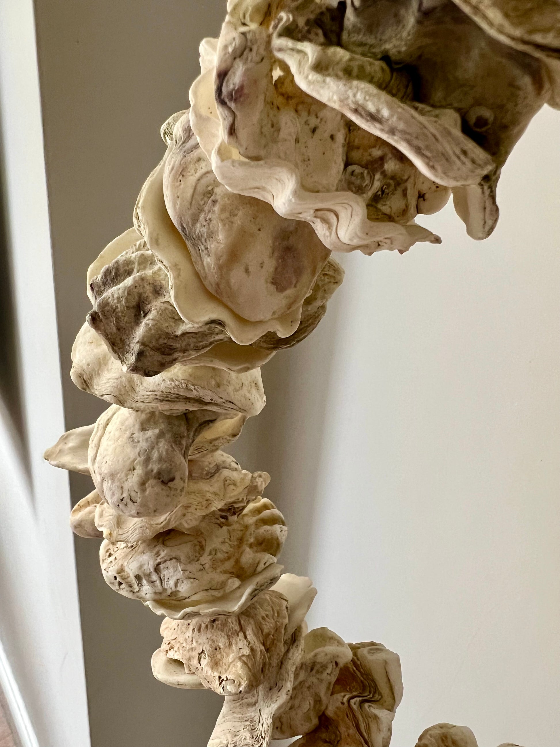 Vintage Oyster Shell Wreath