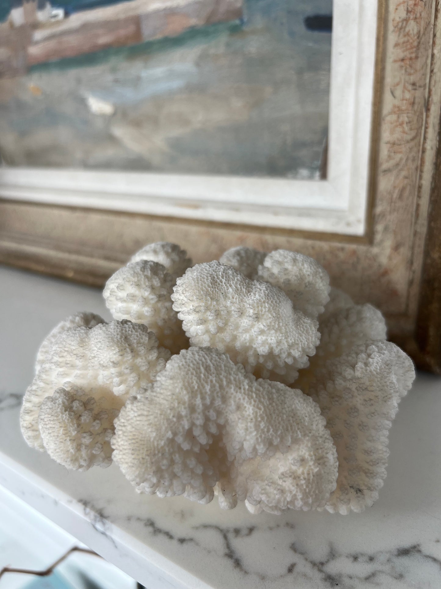 Antique Cloud Coral Specimen