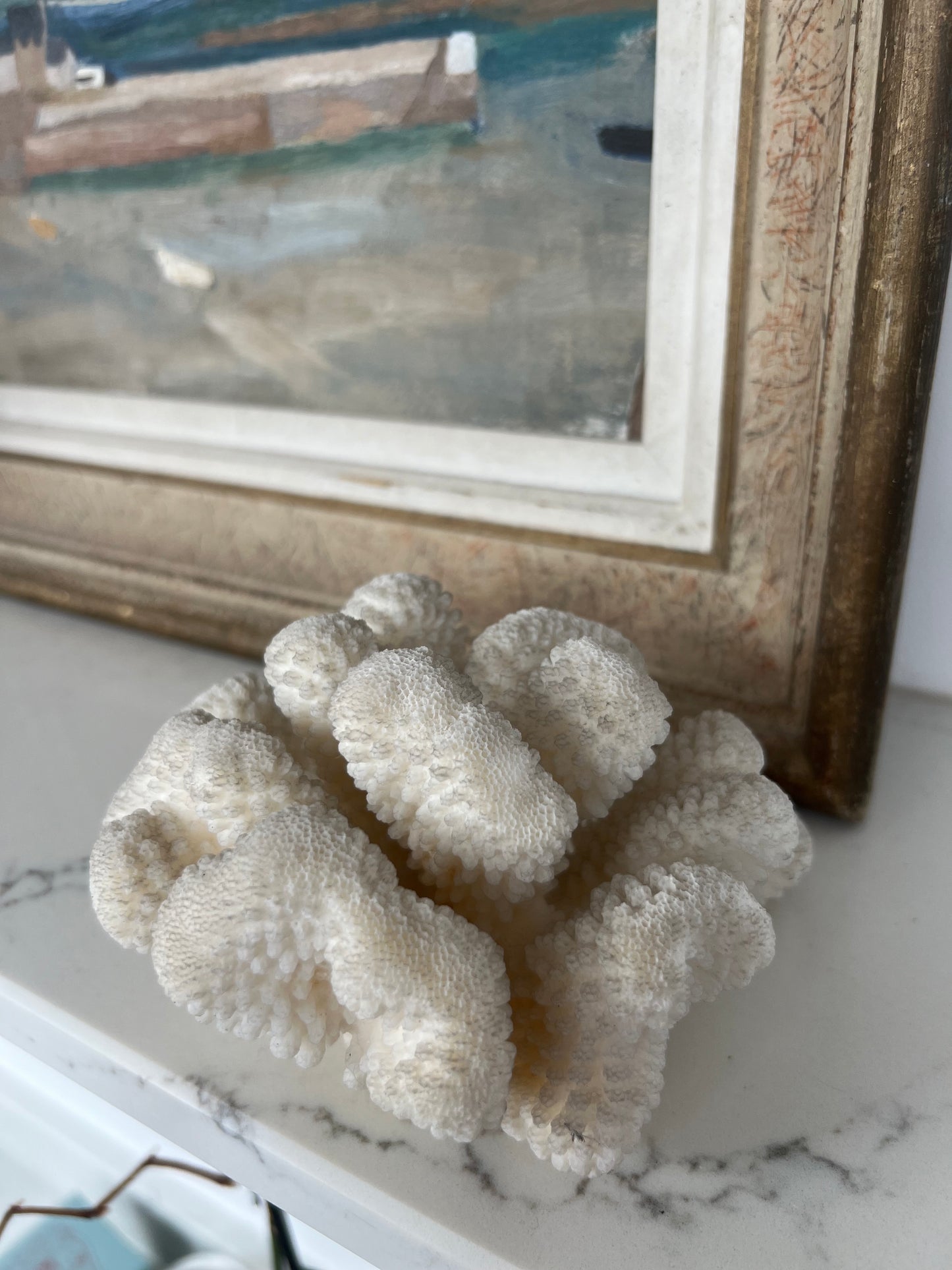 Antique Cloud Coral Specimen