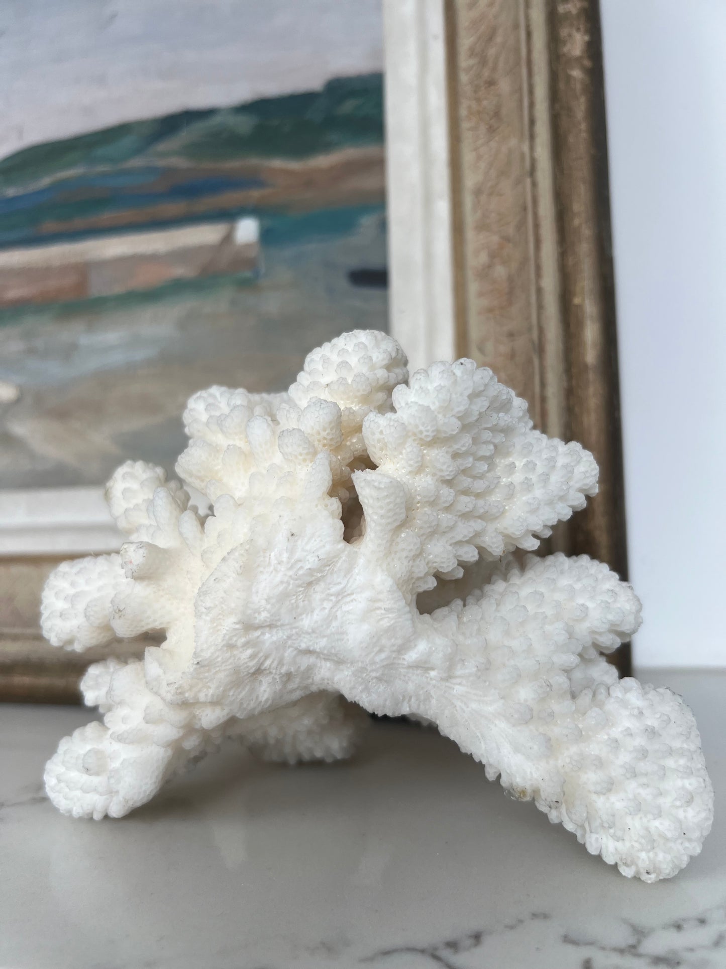 Antique Cloud Coral Specimen