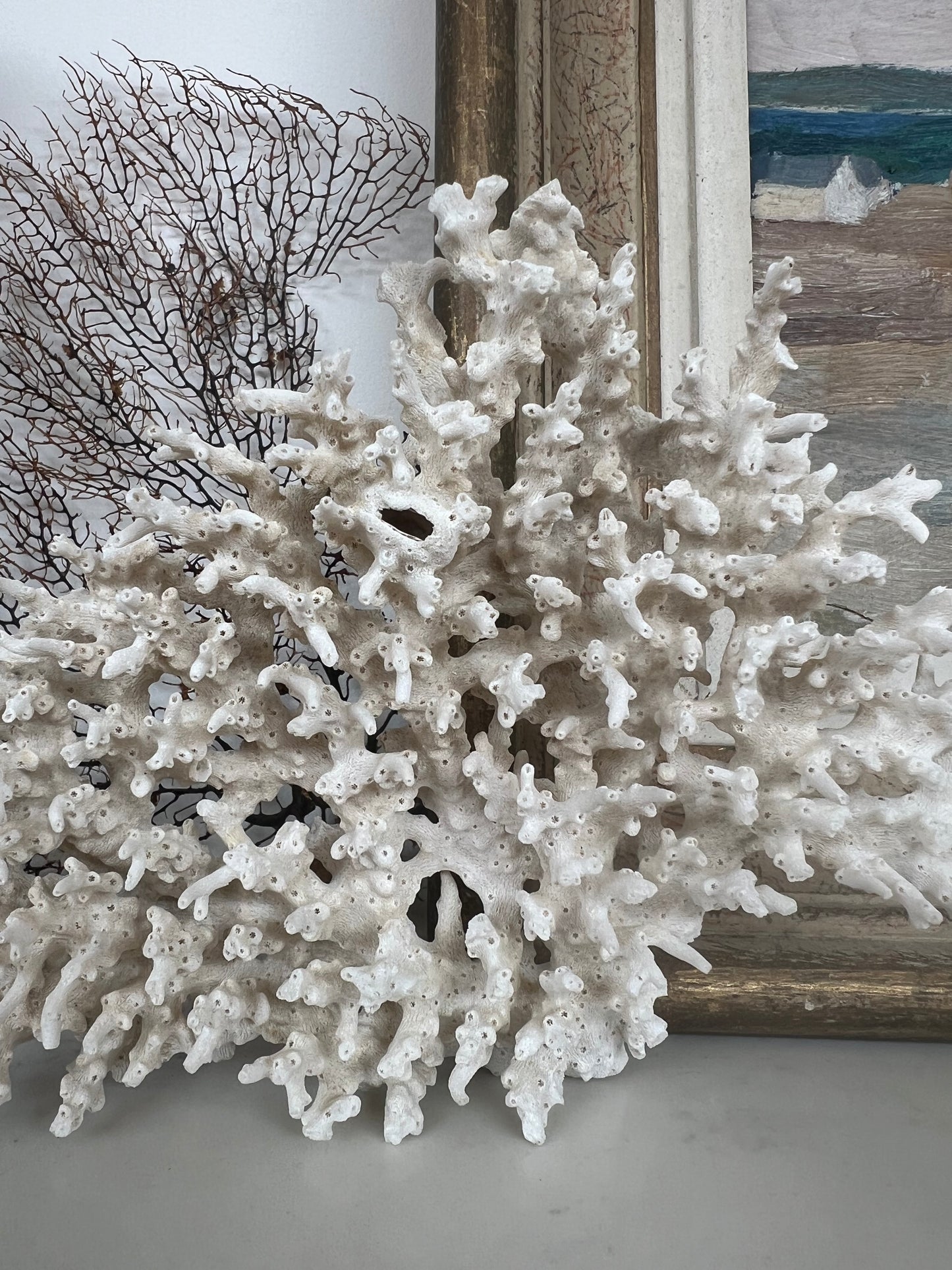 Antique Coral Specimen