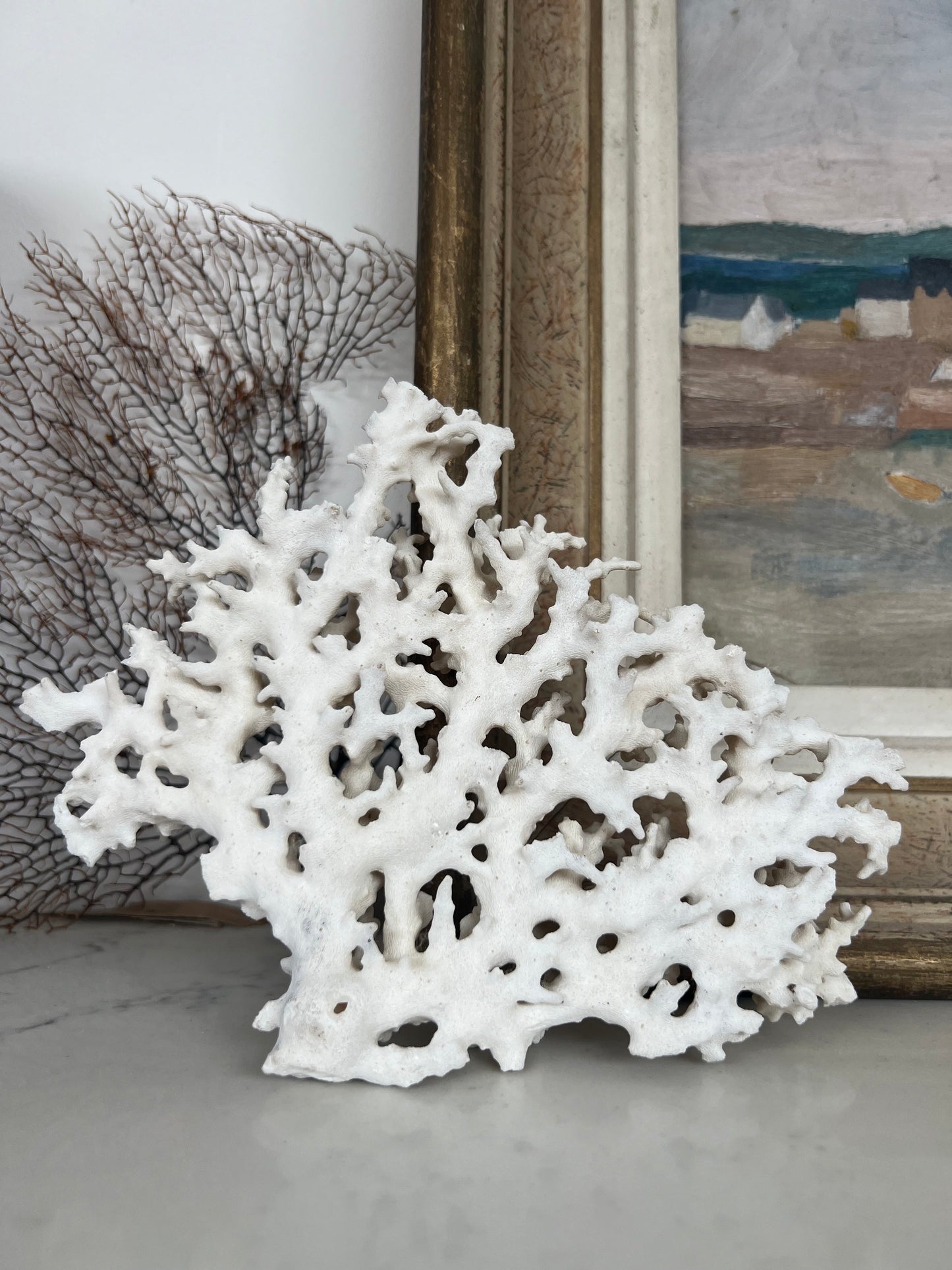 Antique Coral Specimen