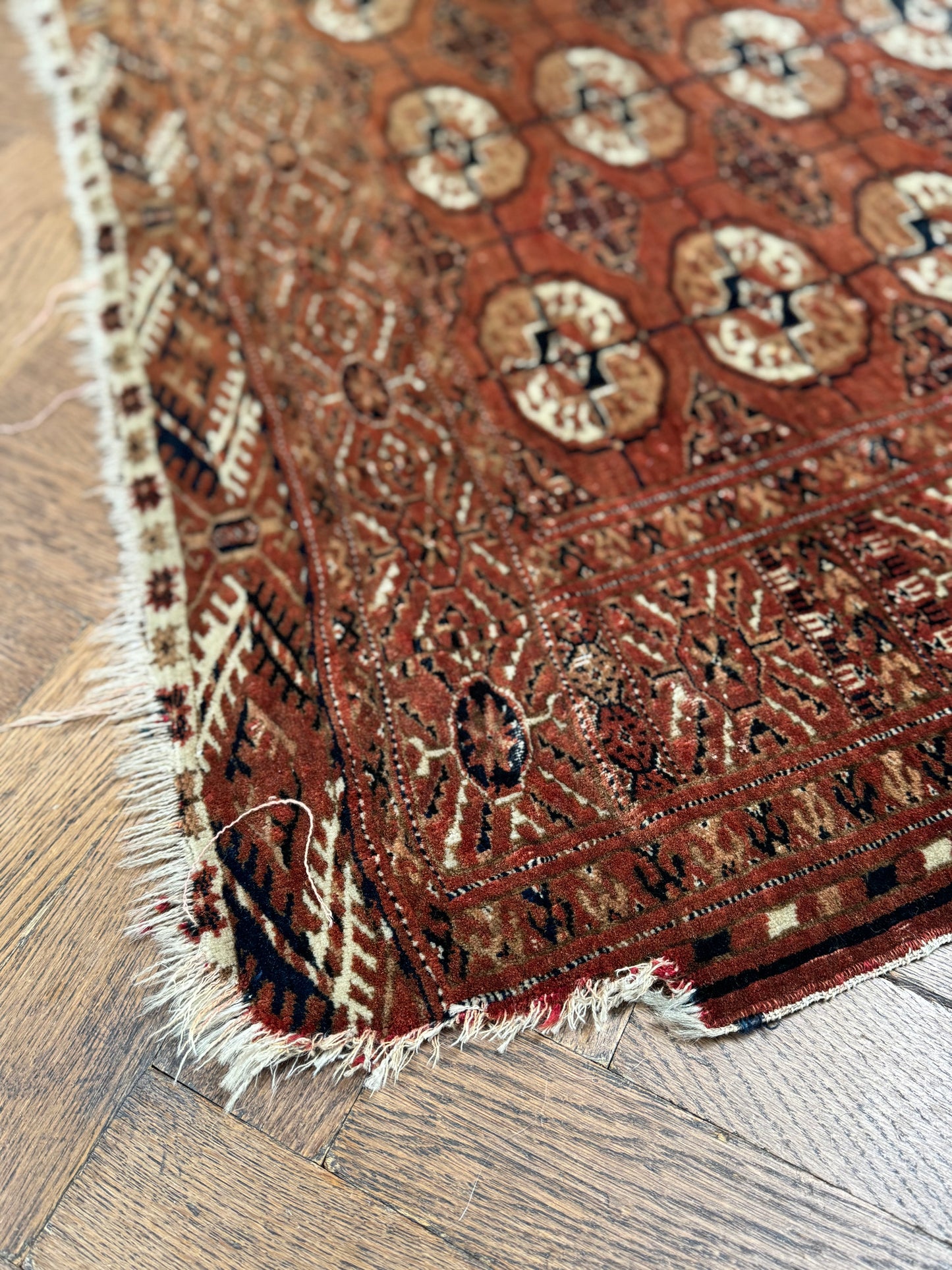 Early 1900's Turkomen Rug Hand Knotted Rug