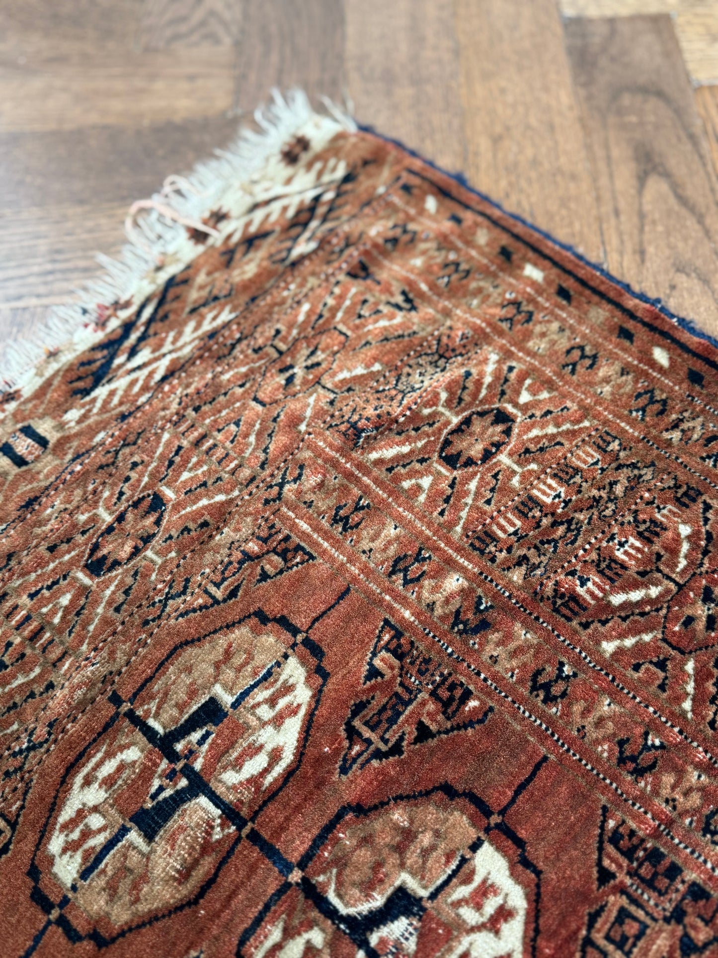 Early 1900's Turkomen Rug Hand Knotted Rug