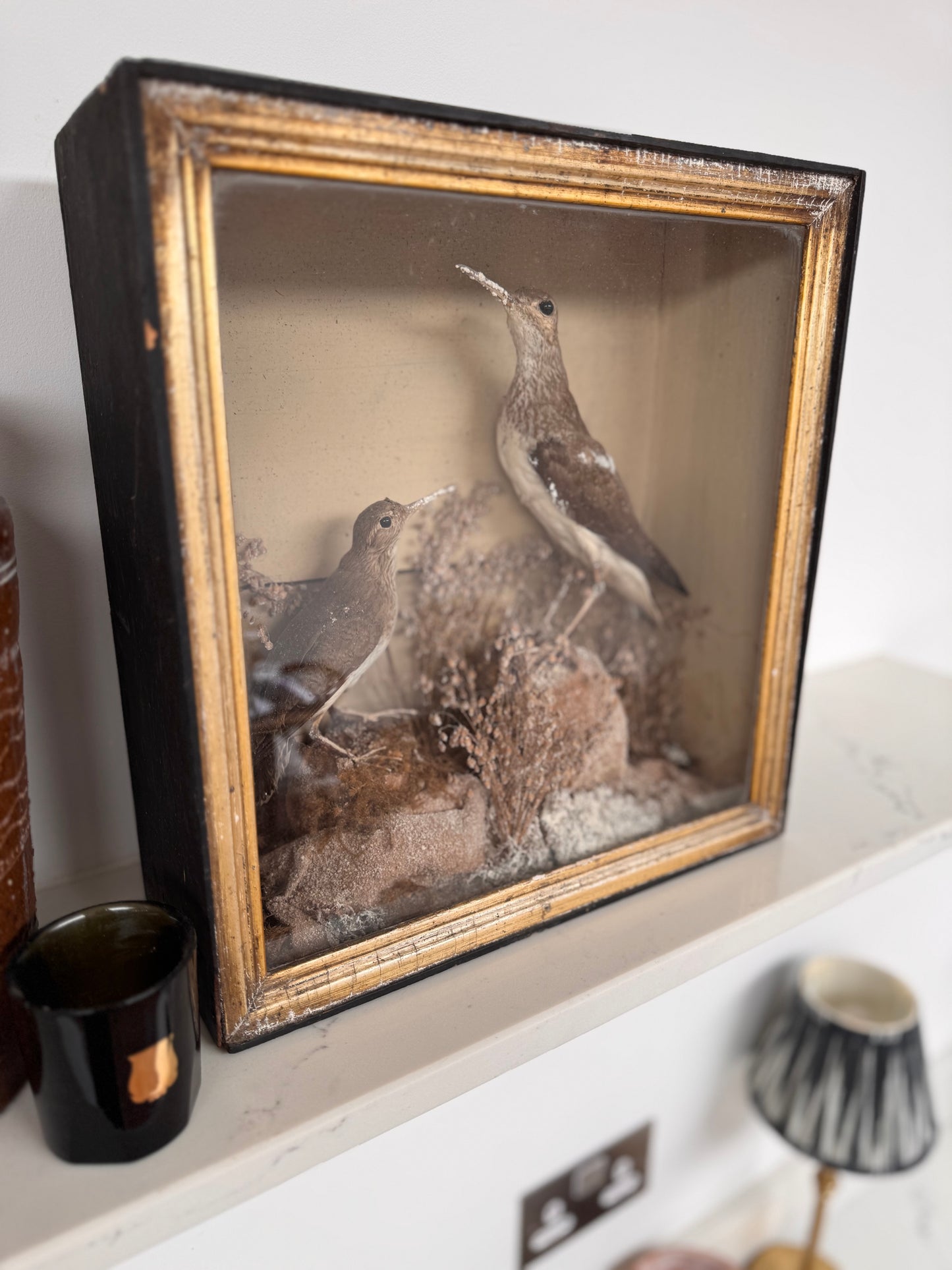 Decorative Victorian Taxidermy Display Of Sandpipers