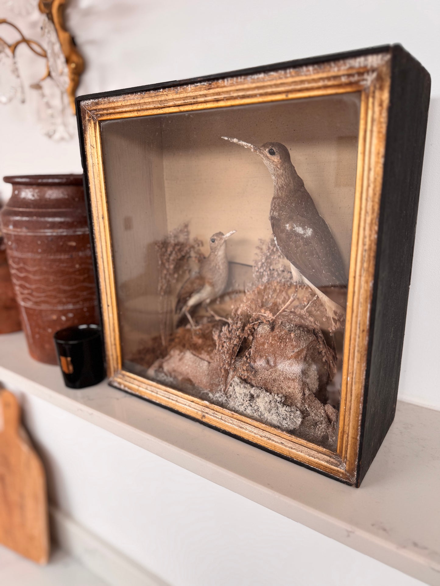 Decorative Victorian Taxidermy Display Of Sandpipers