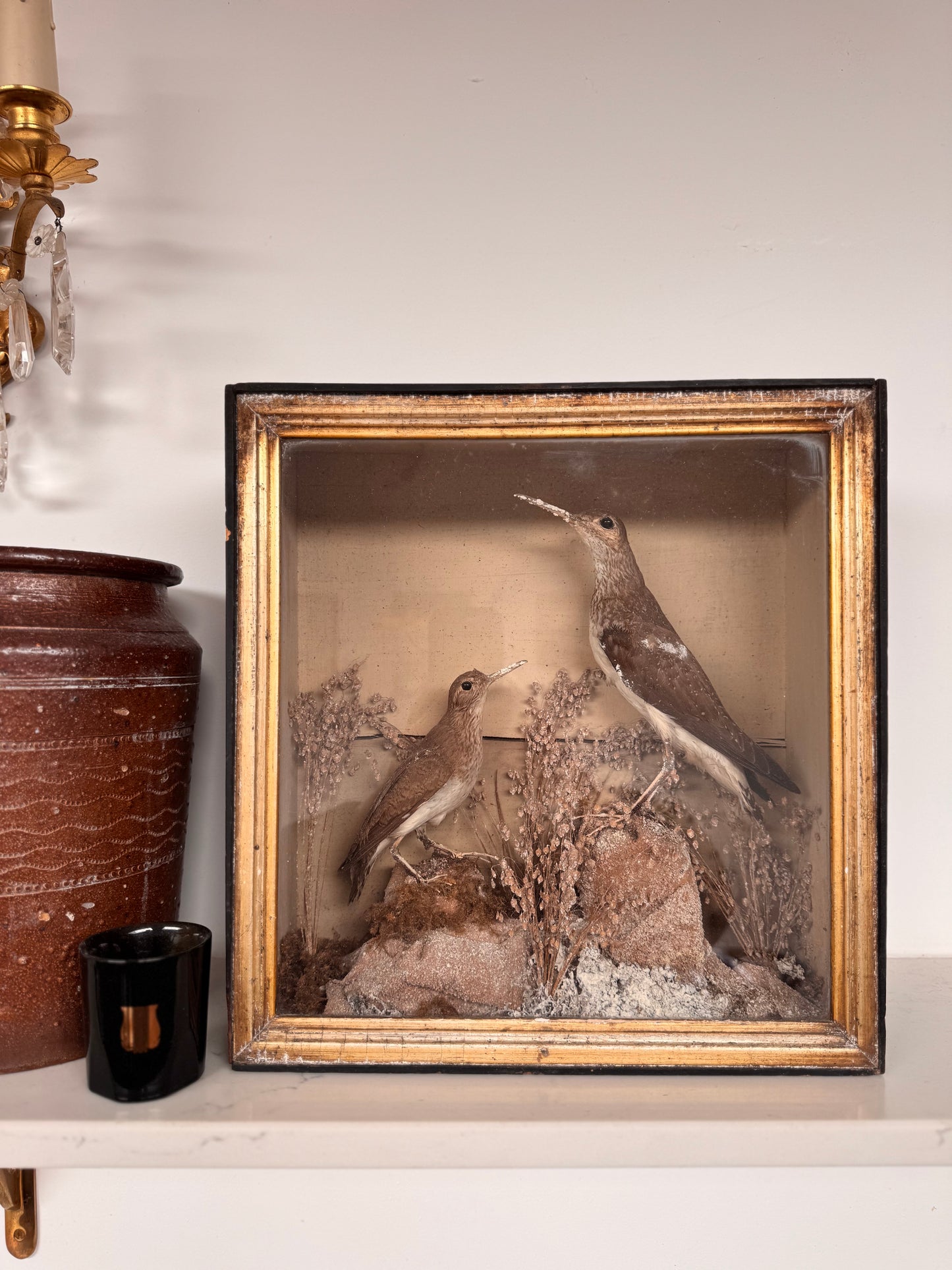 Decorative Victorian Taxidermy Display Of Sandpipers