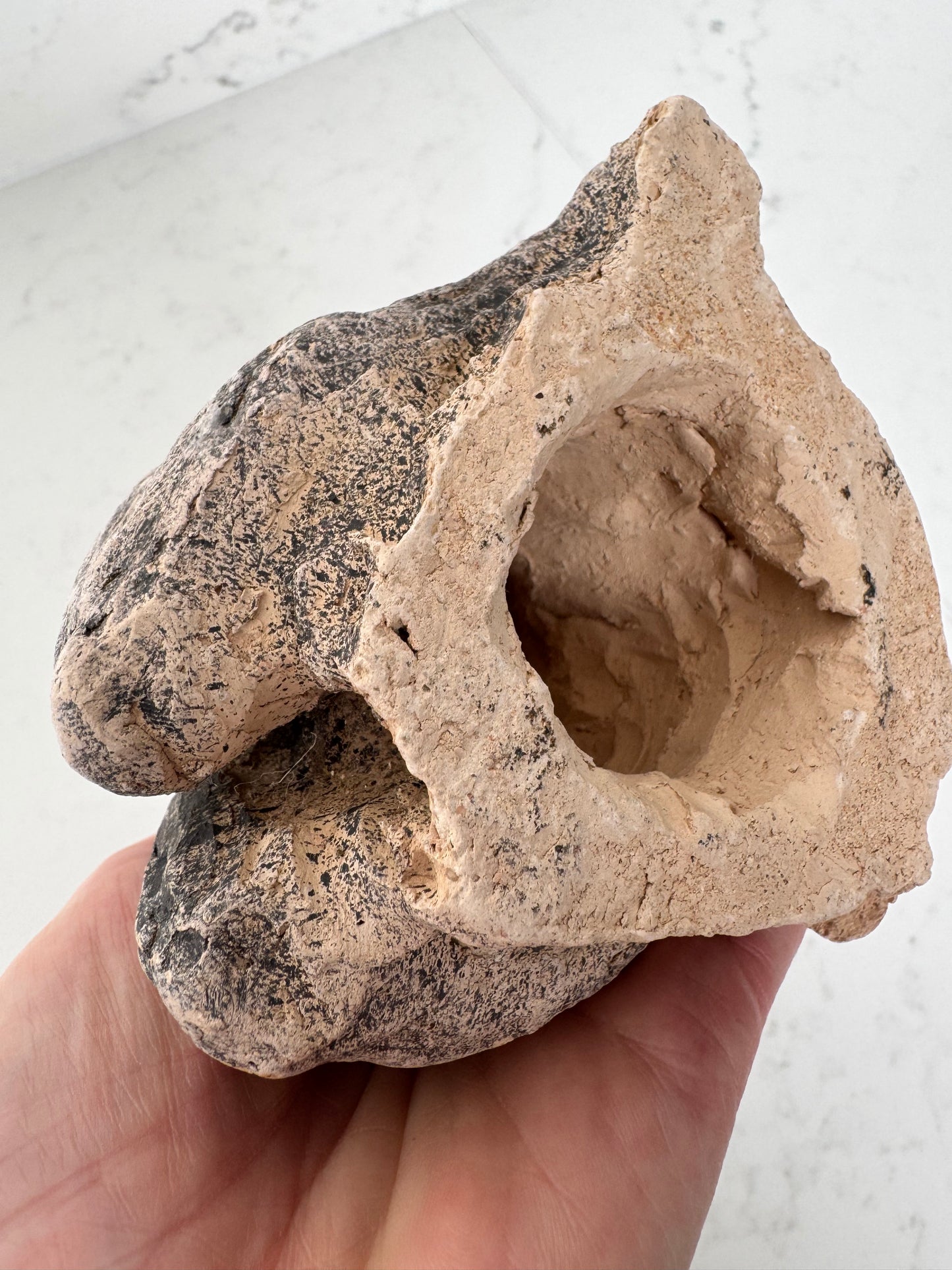 Vintage Plaster Sculpture Female Study